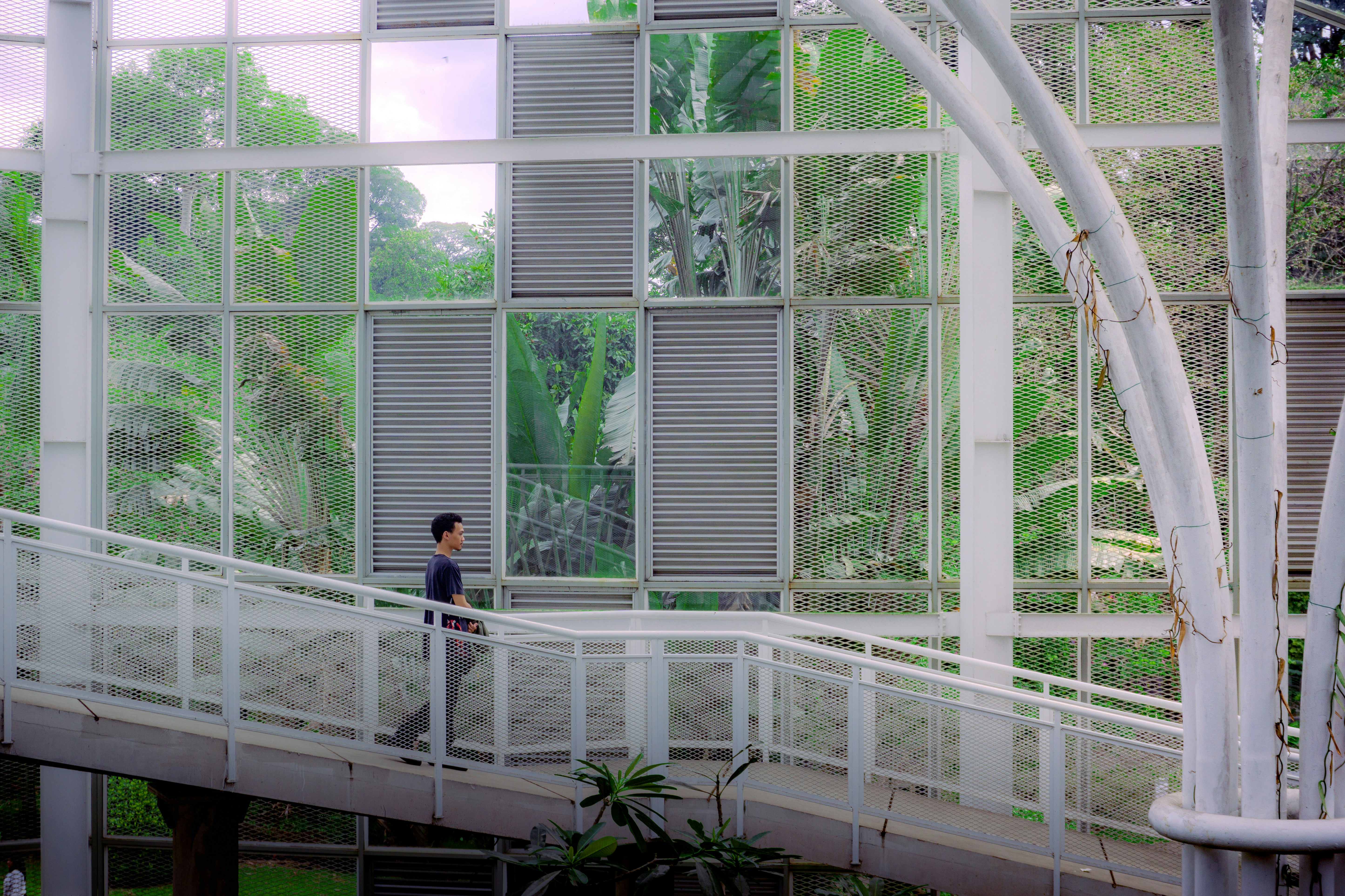 A person walks on a bridge next to windows.