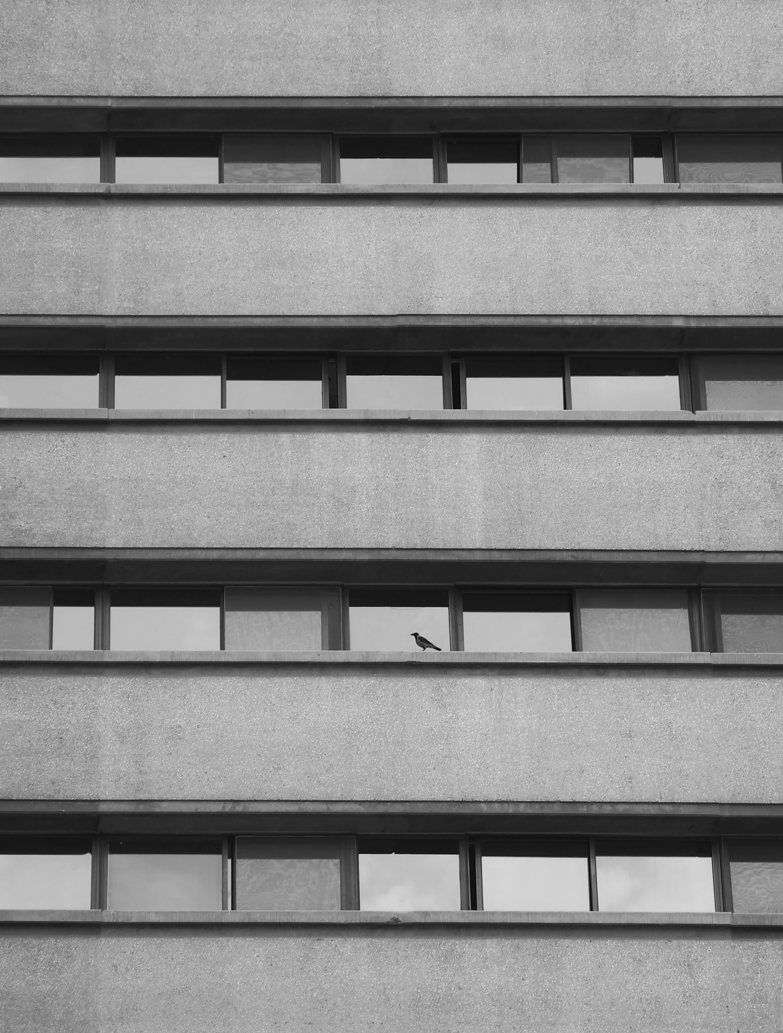 Photo by hasanalmasi