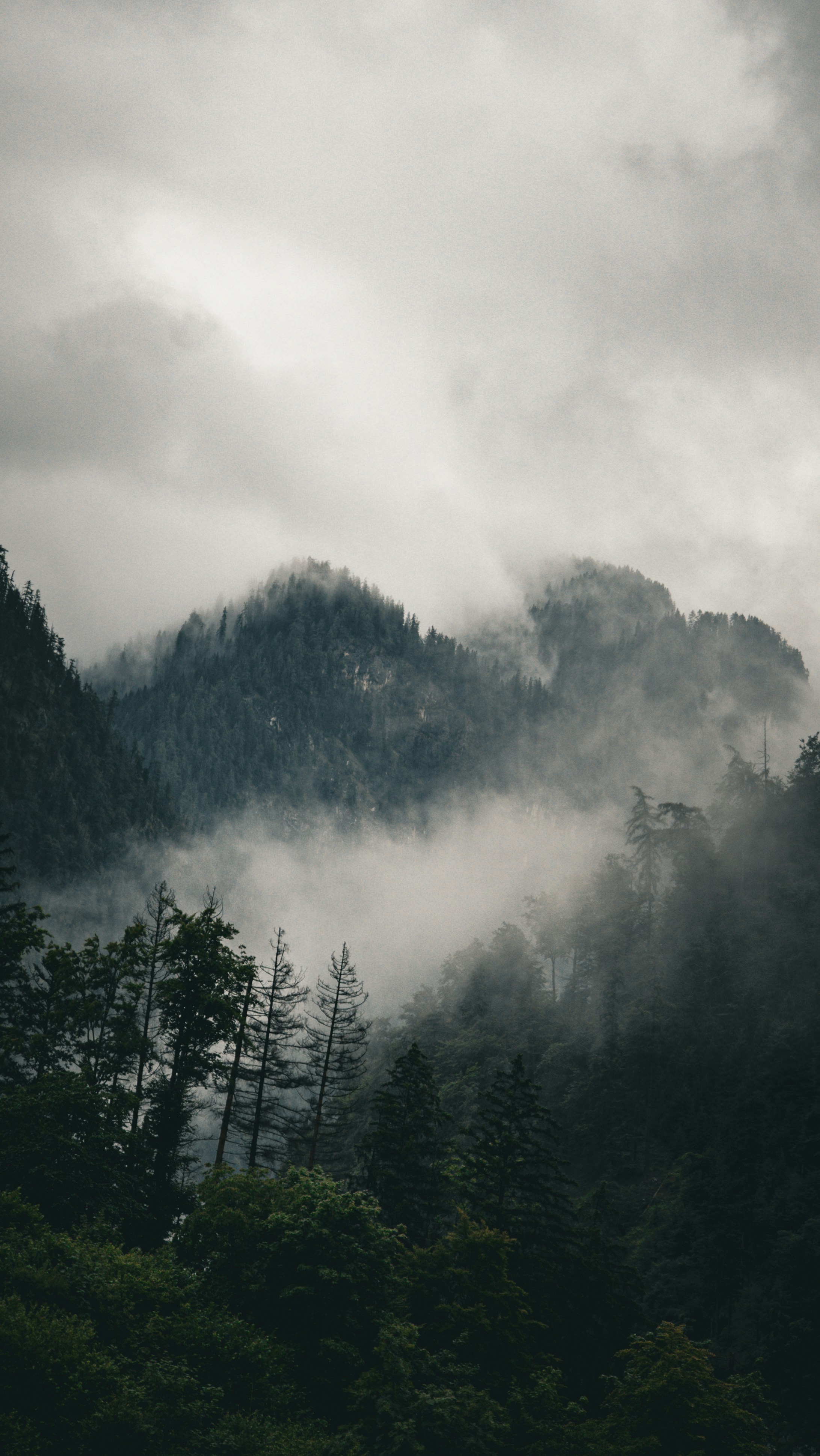 Photo by danielsiebert