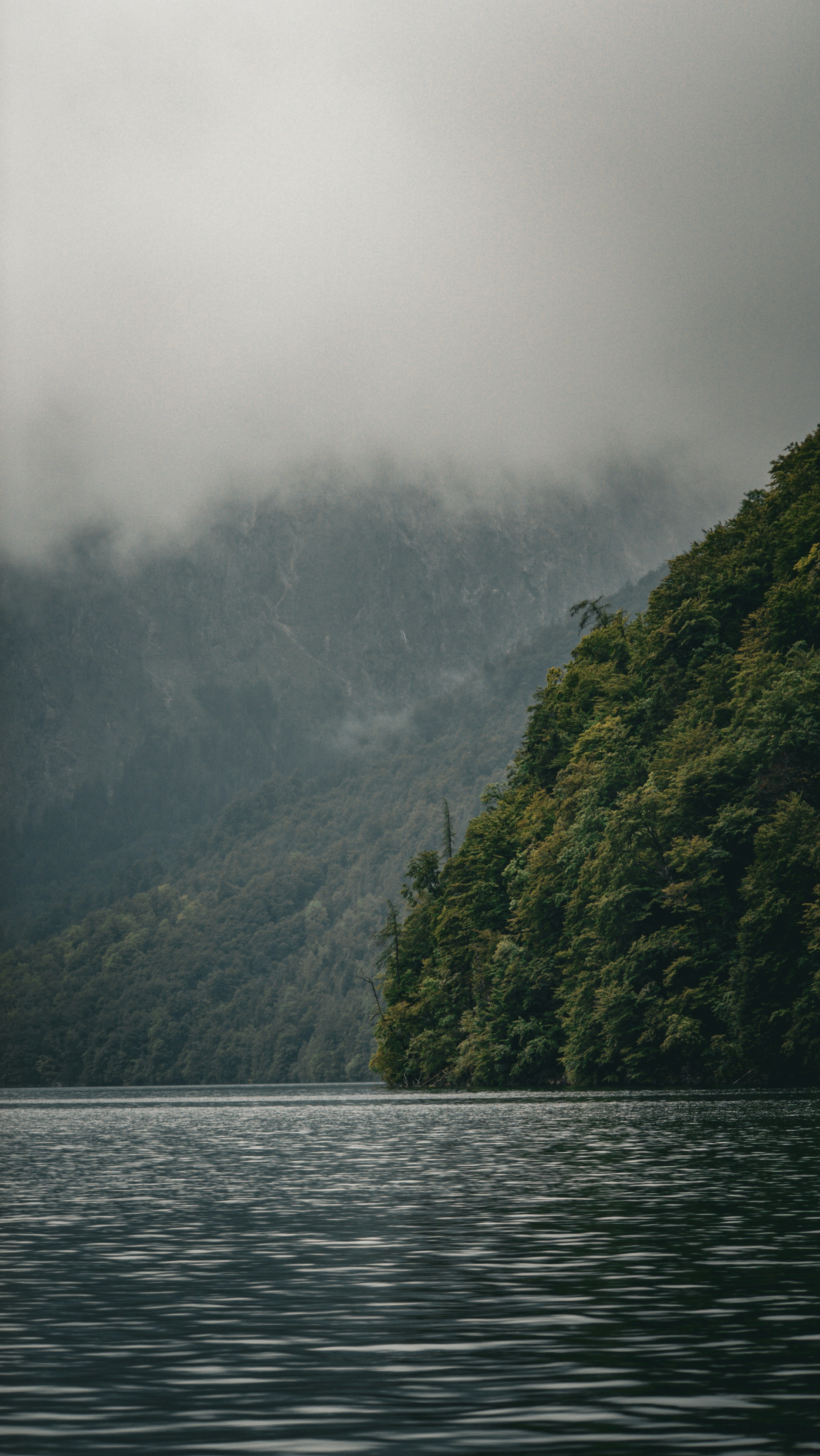 Photo by danielsiebert