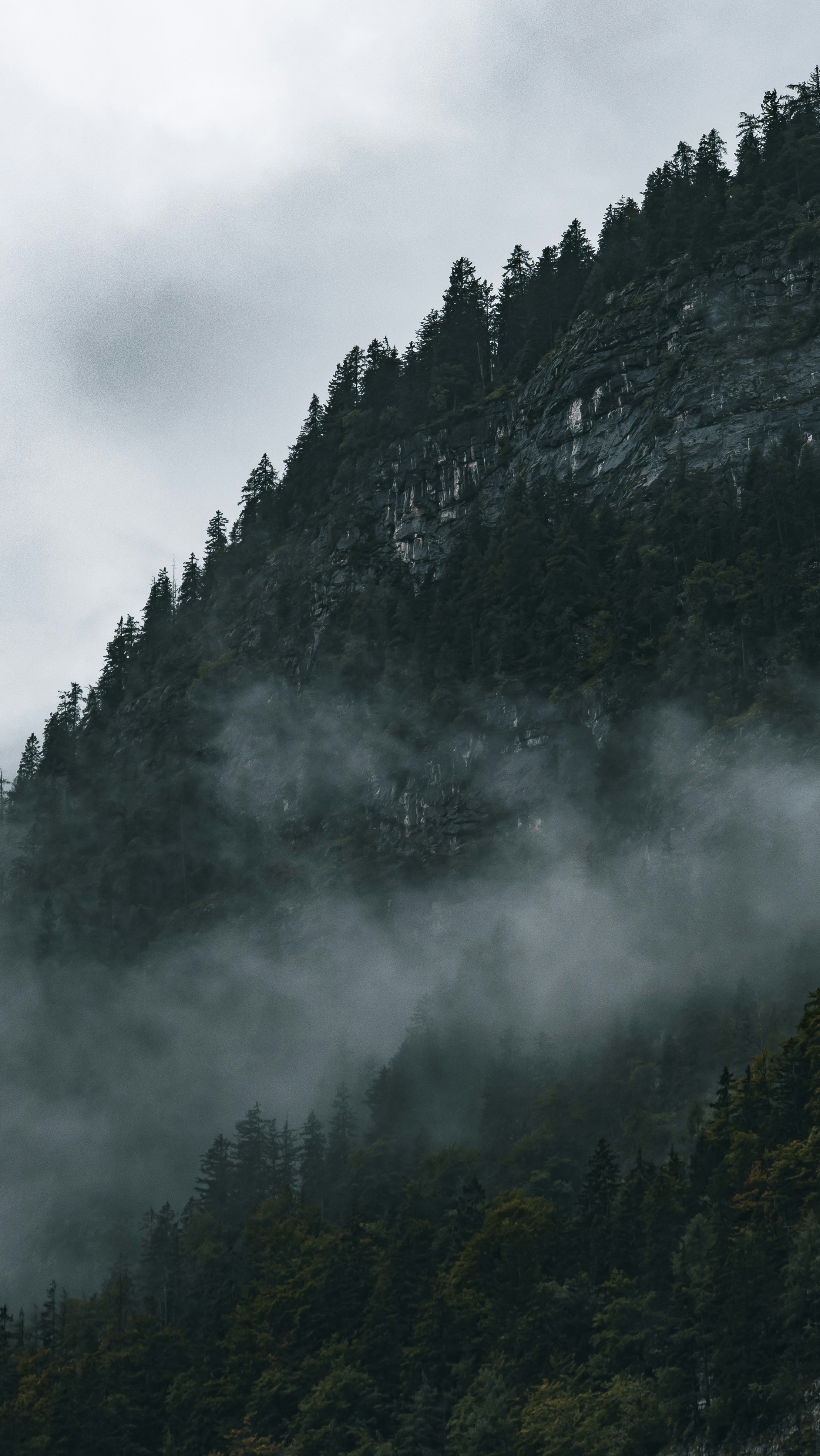 Photo by danielsiebert