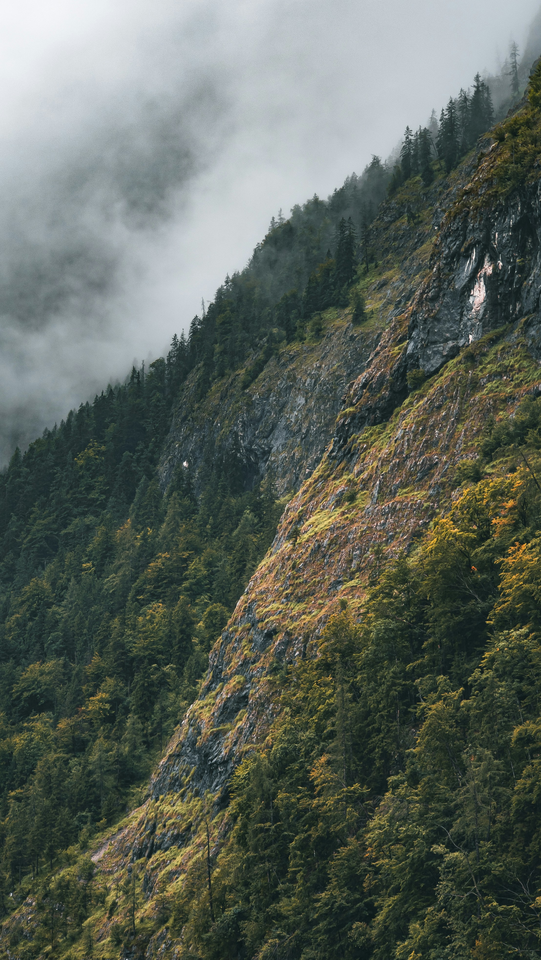 Photo by danielsiebert