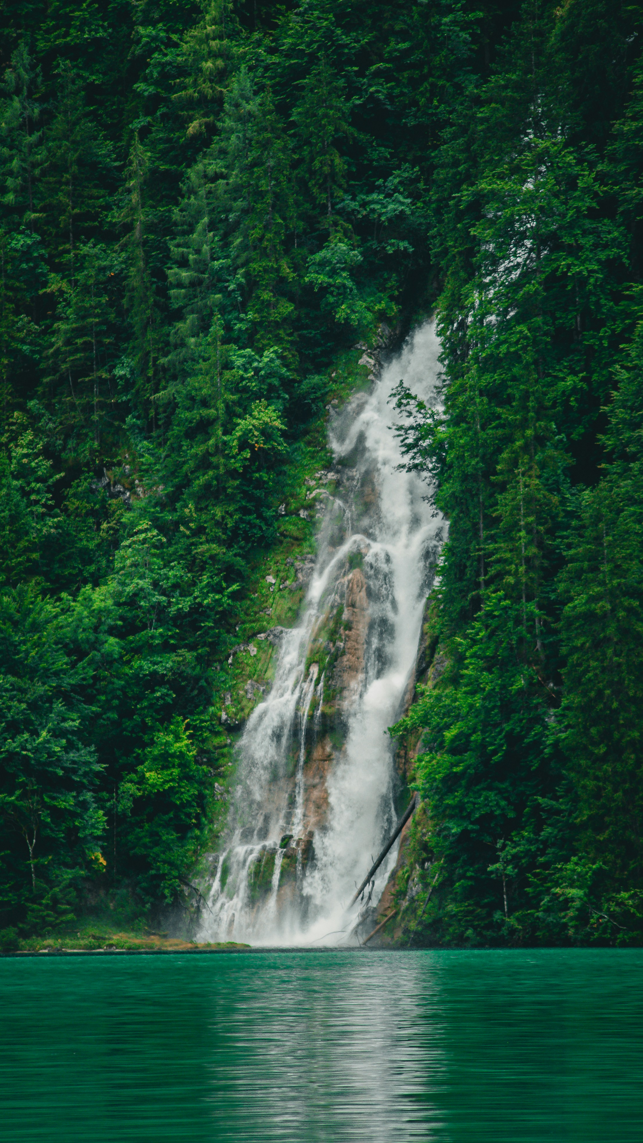 Photo by danielsiebert