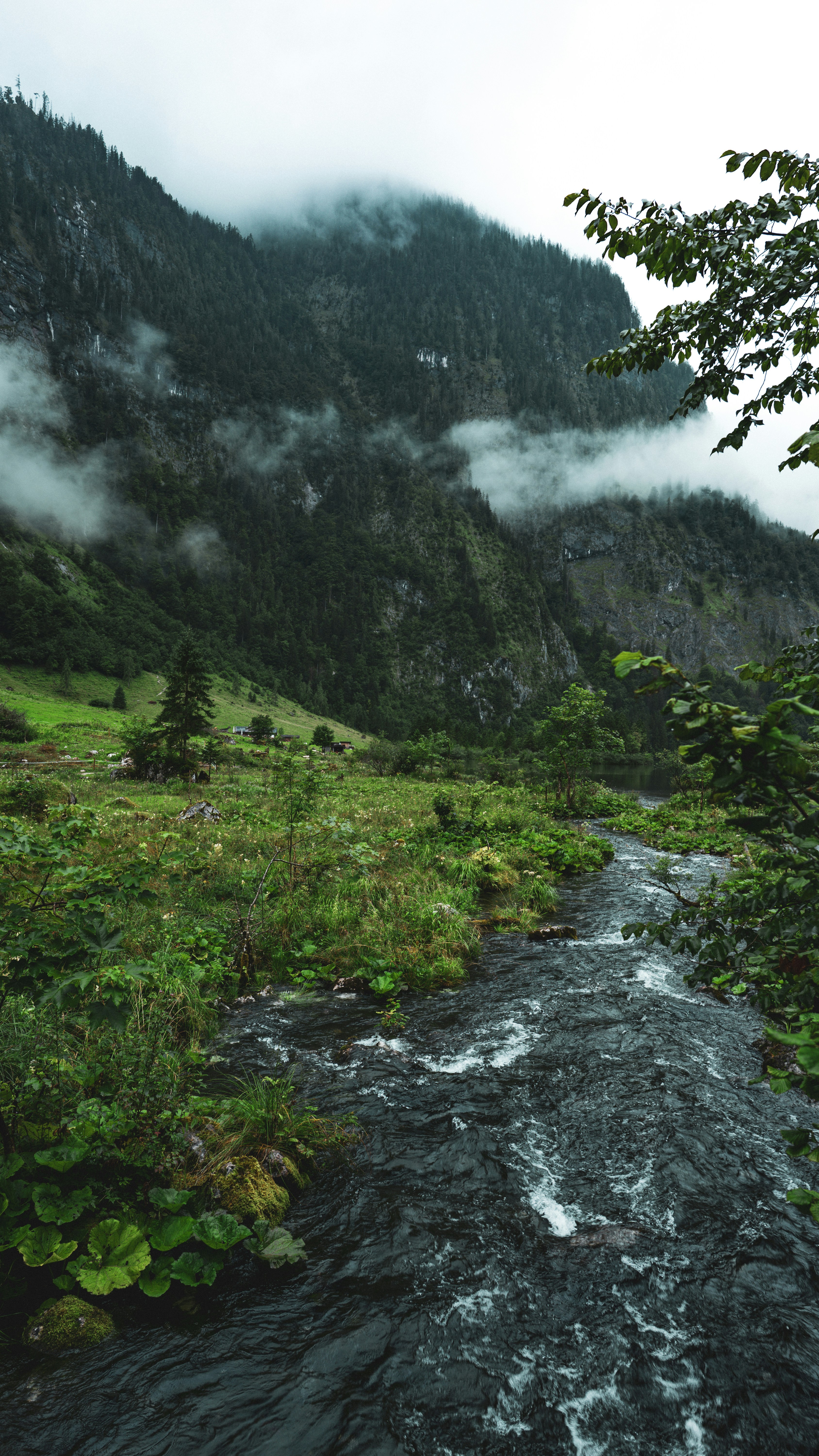 Photo by danielsiebert