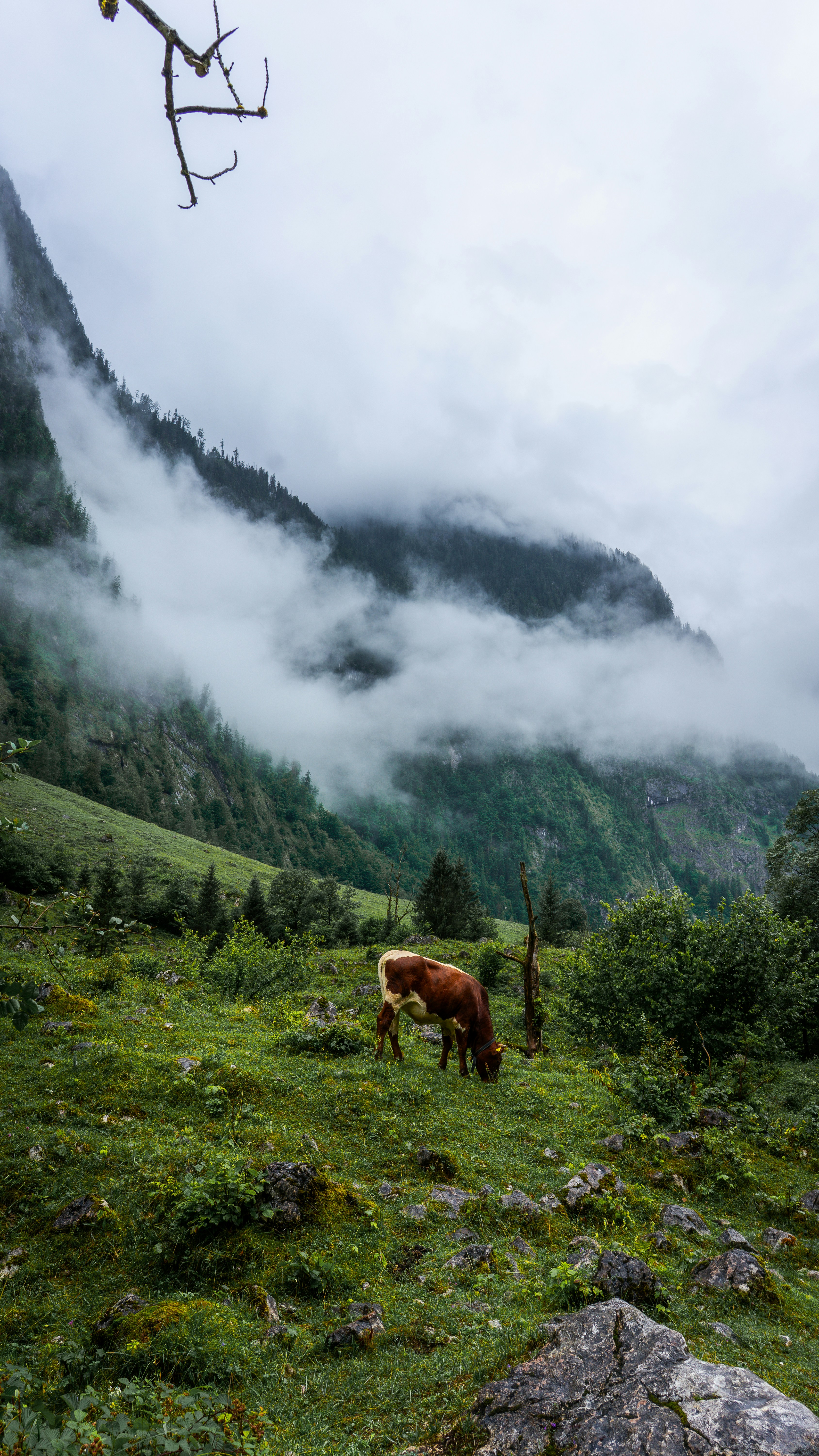 Photo by danielzermand