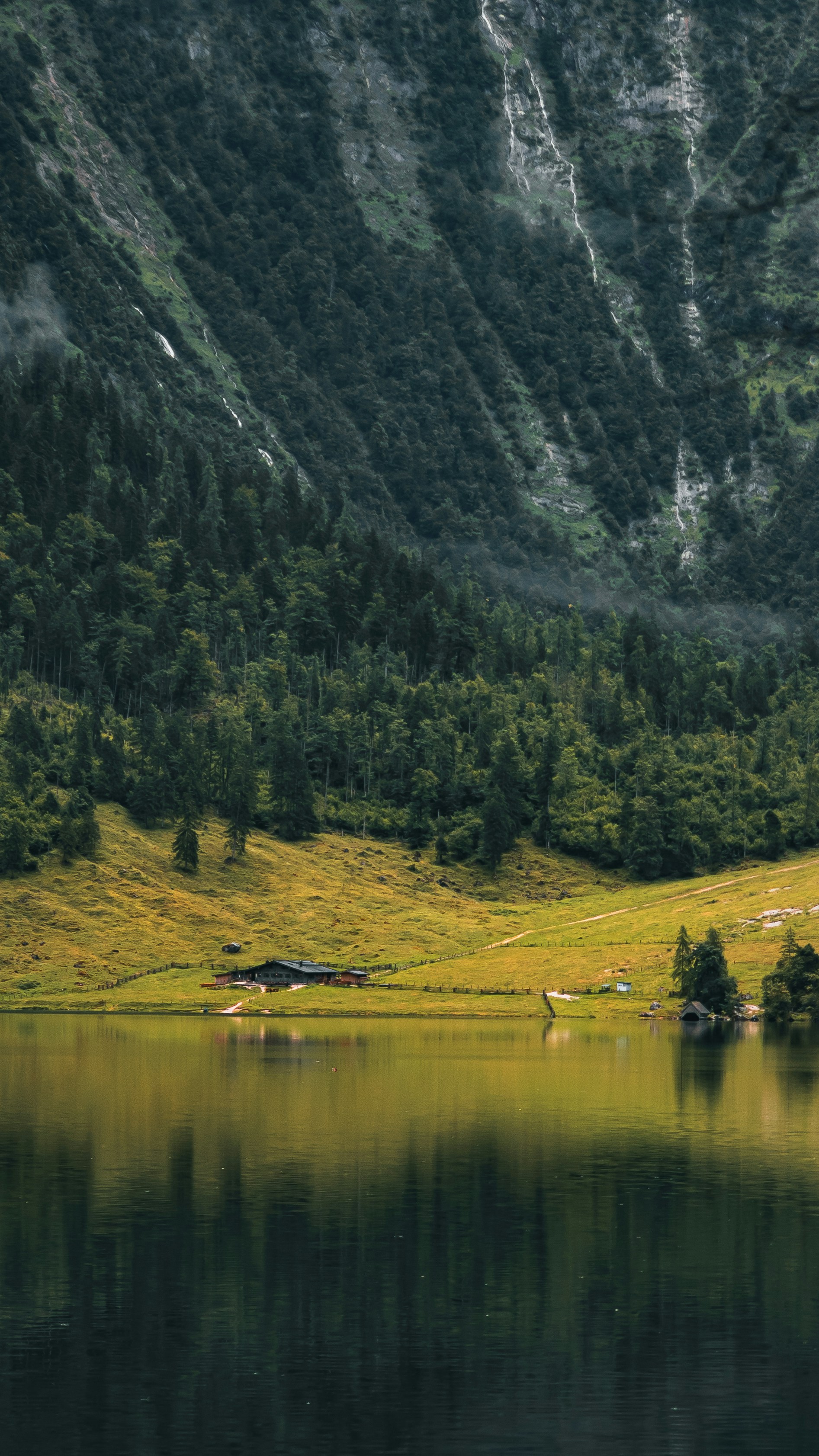 Photo by danielzermand