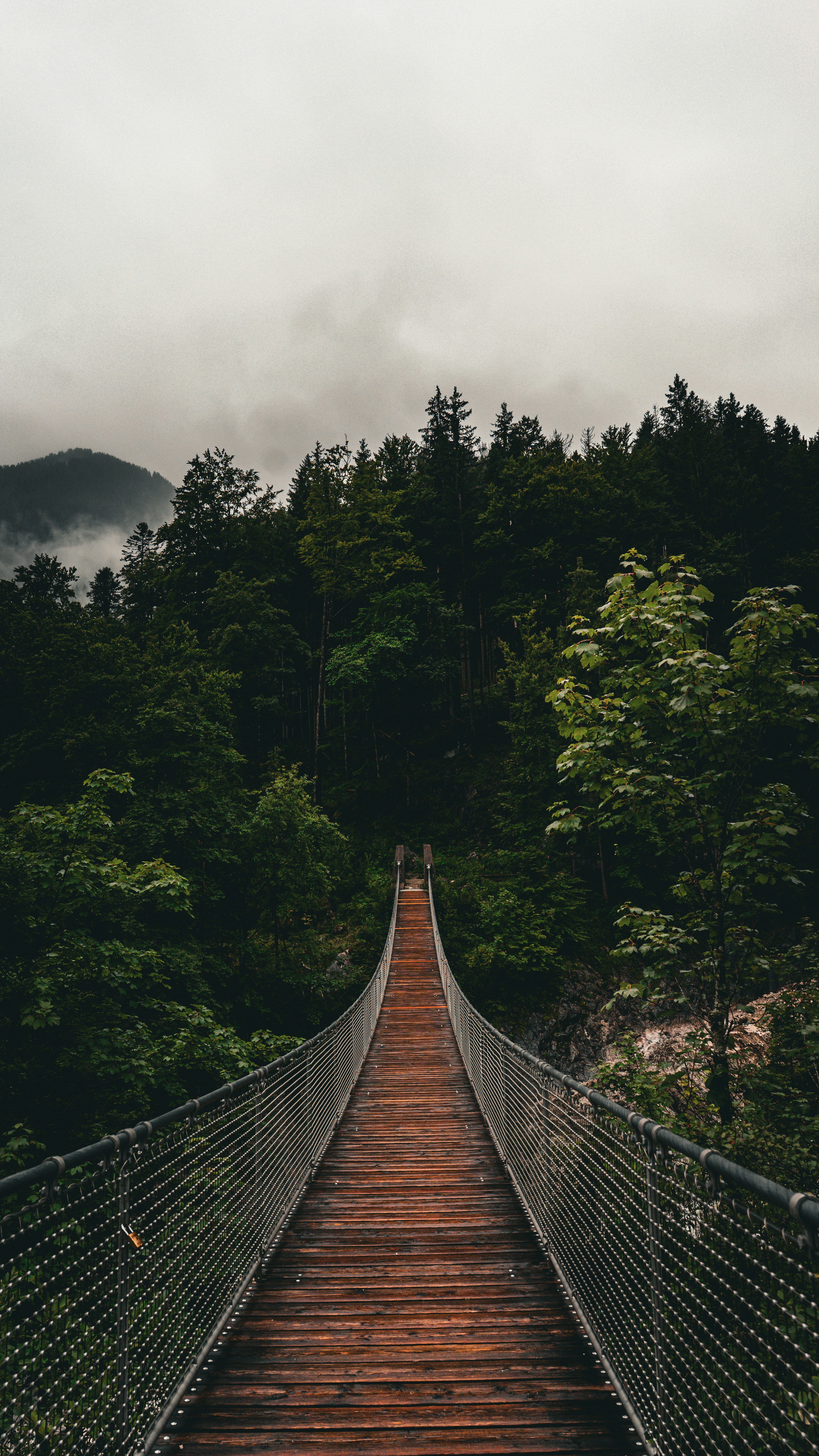 Photo by danielsiebert