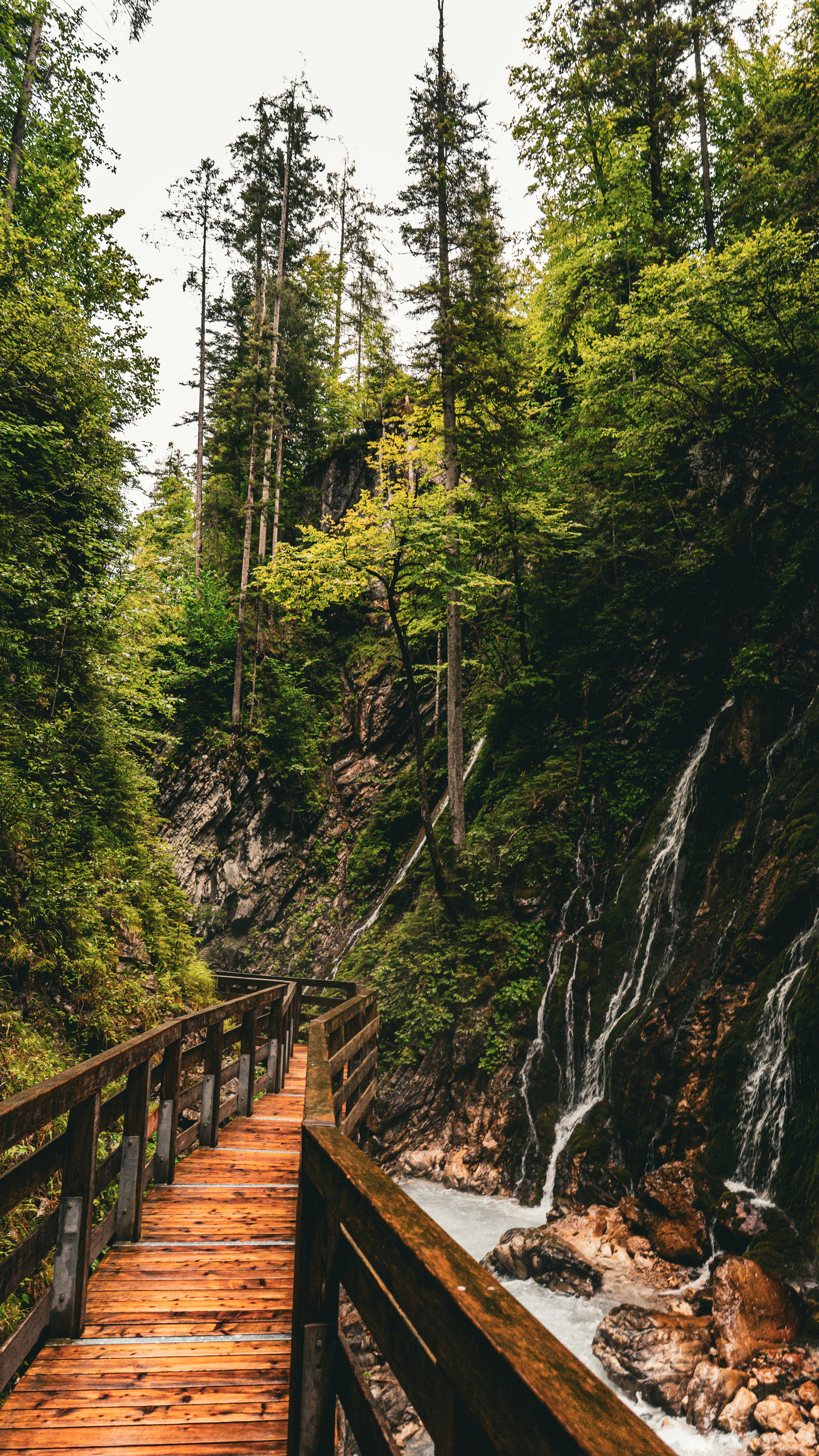 Photo by danielzermand