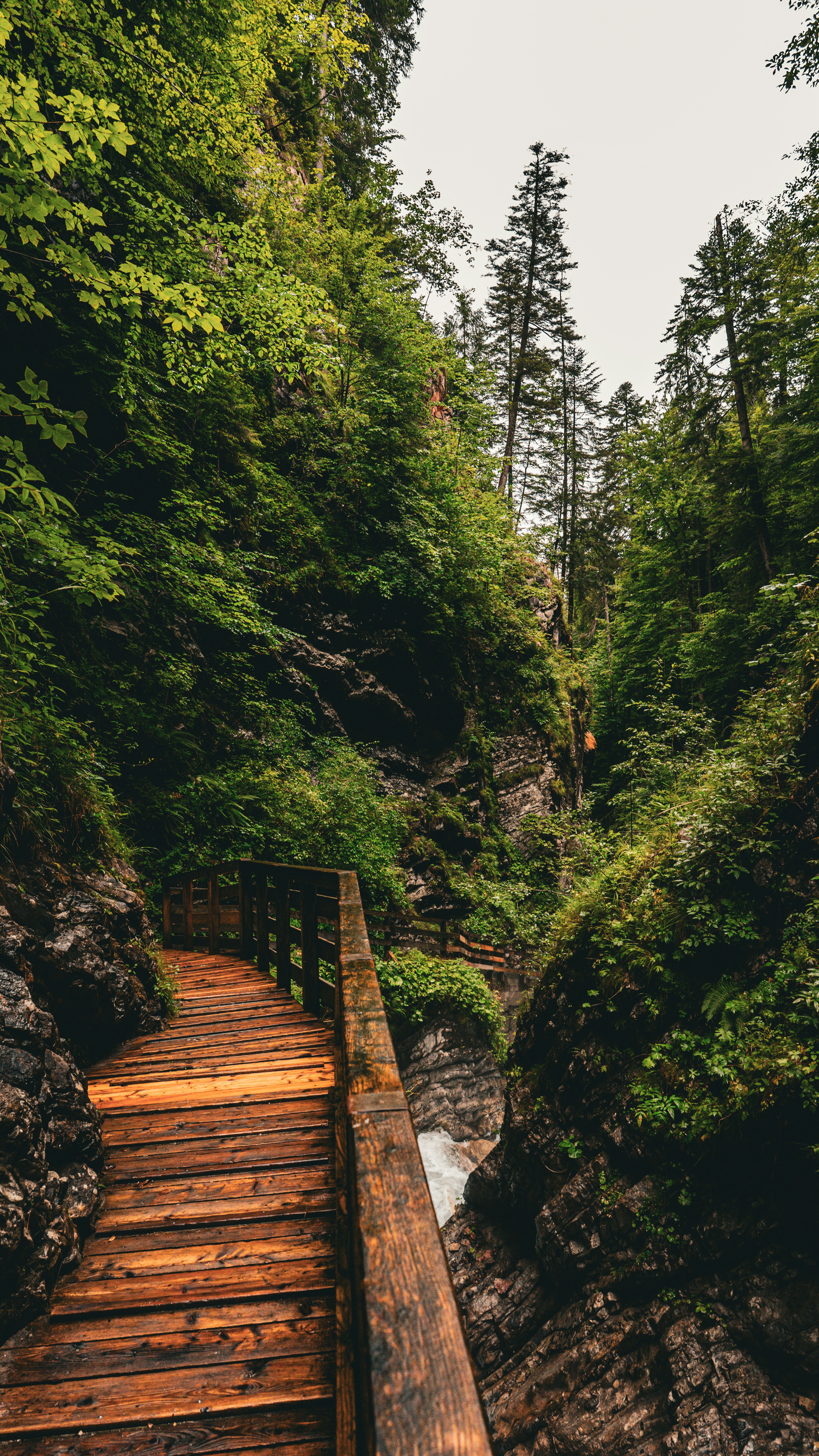 Photo by danielsiebert