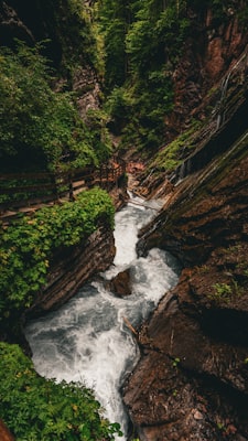 Raging river flows through deep canyon with forested walls