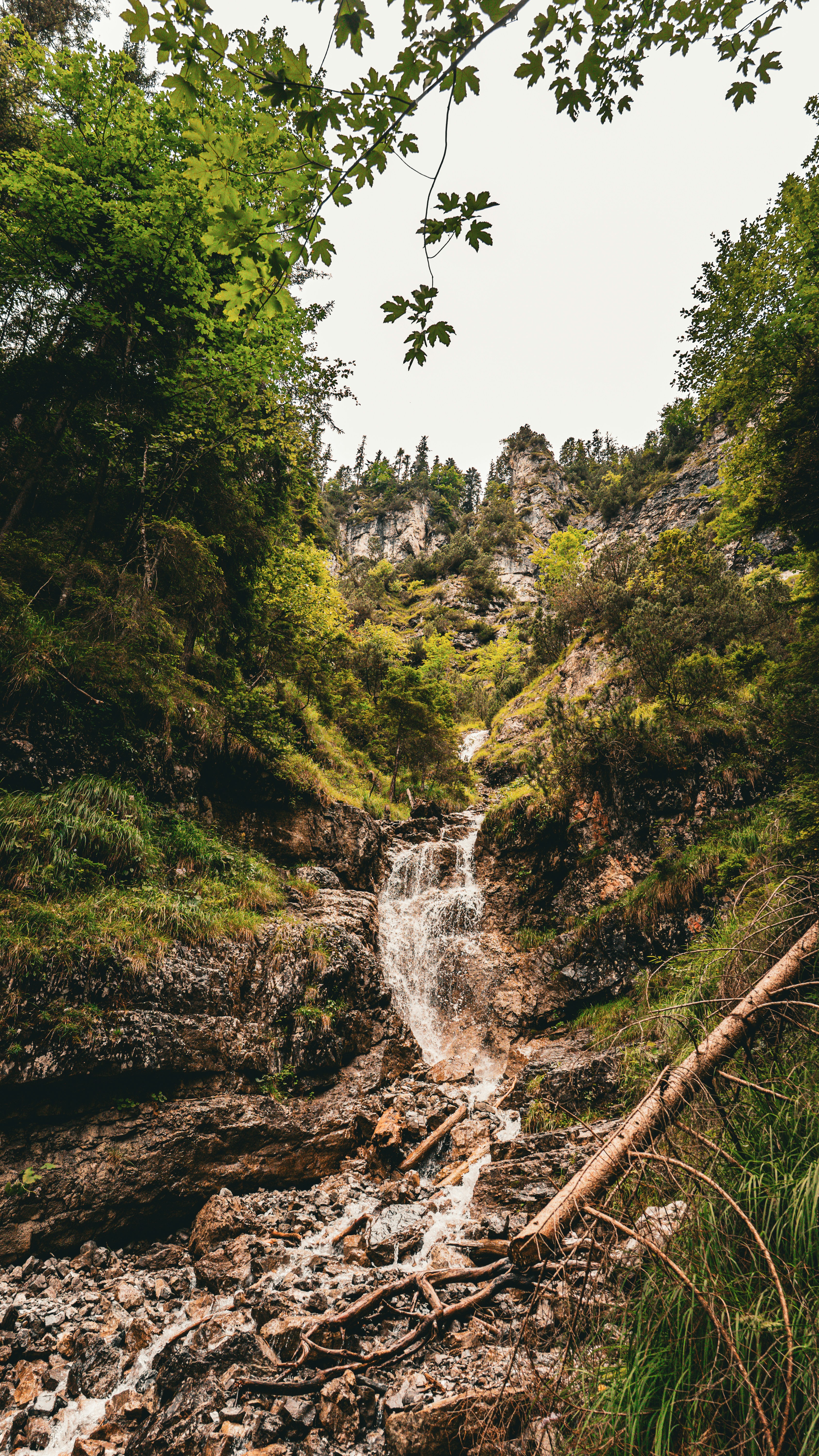 Photo by danielsiebert