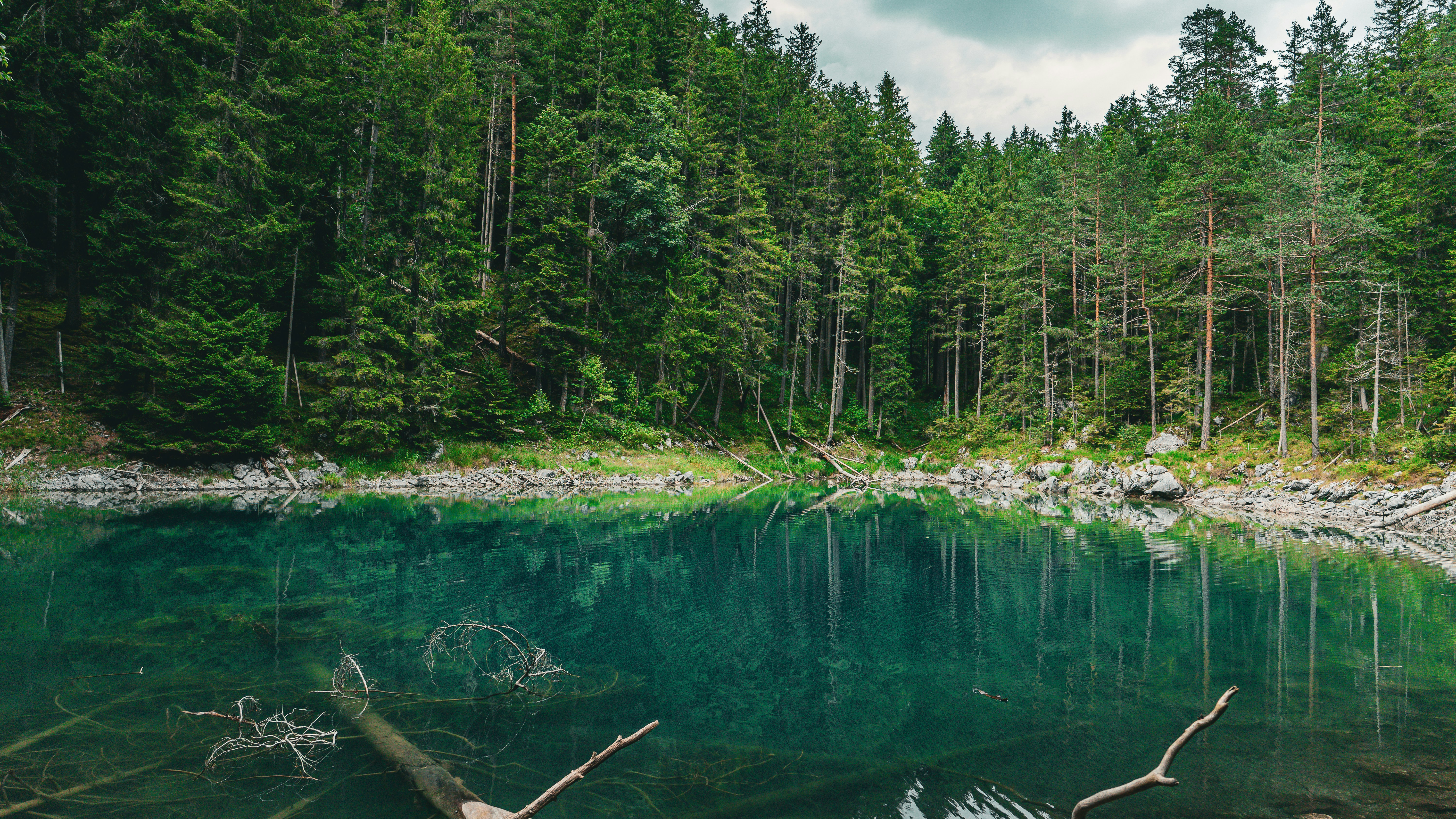 Photo by danielsiebert