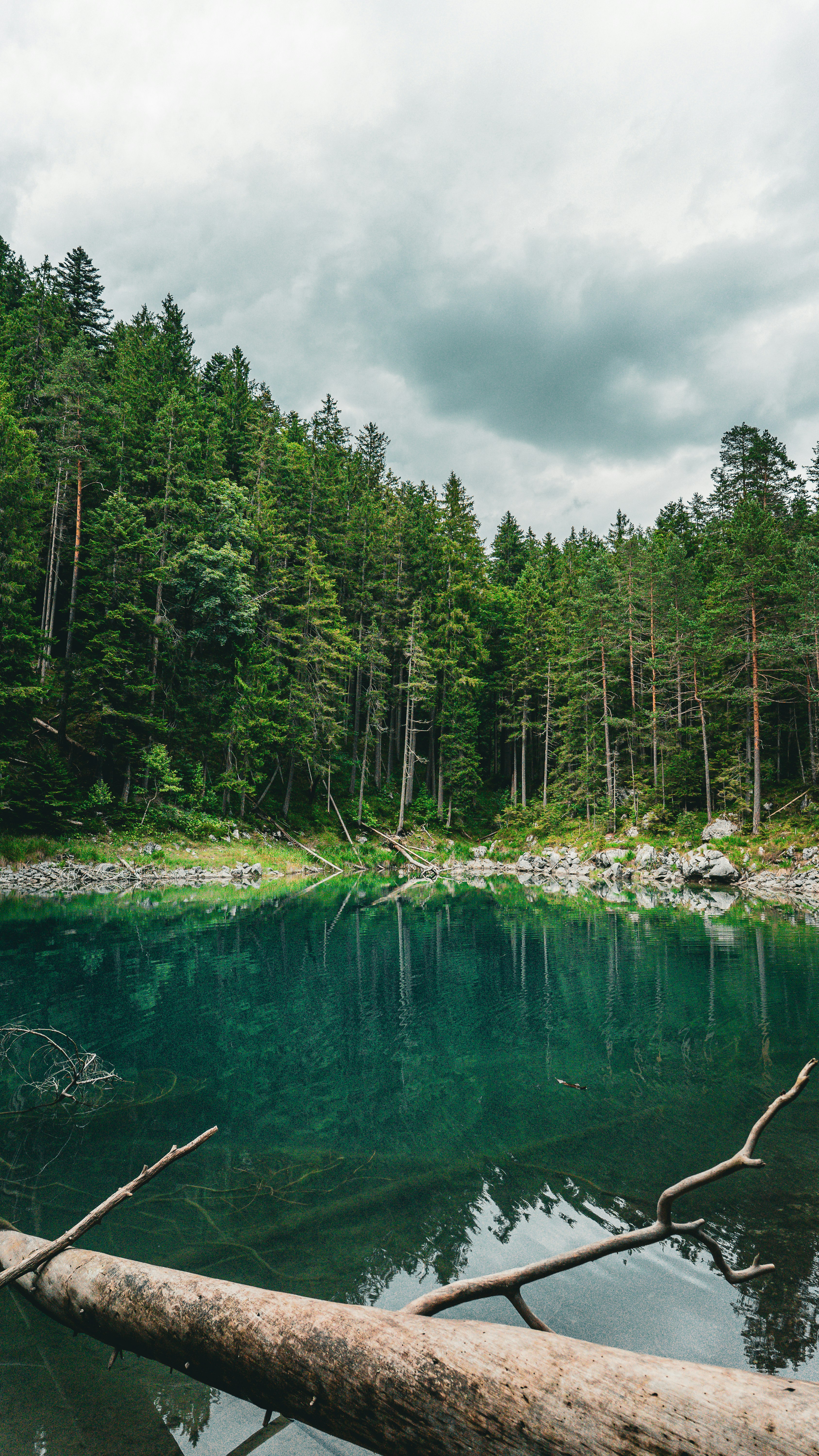 Photo by danielsiebert