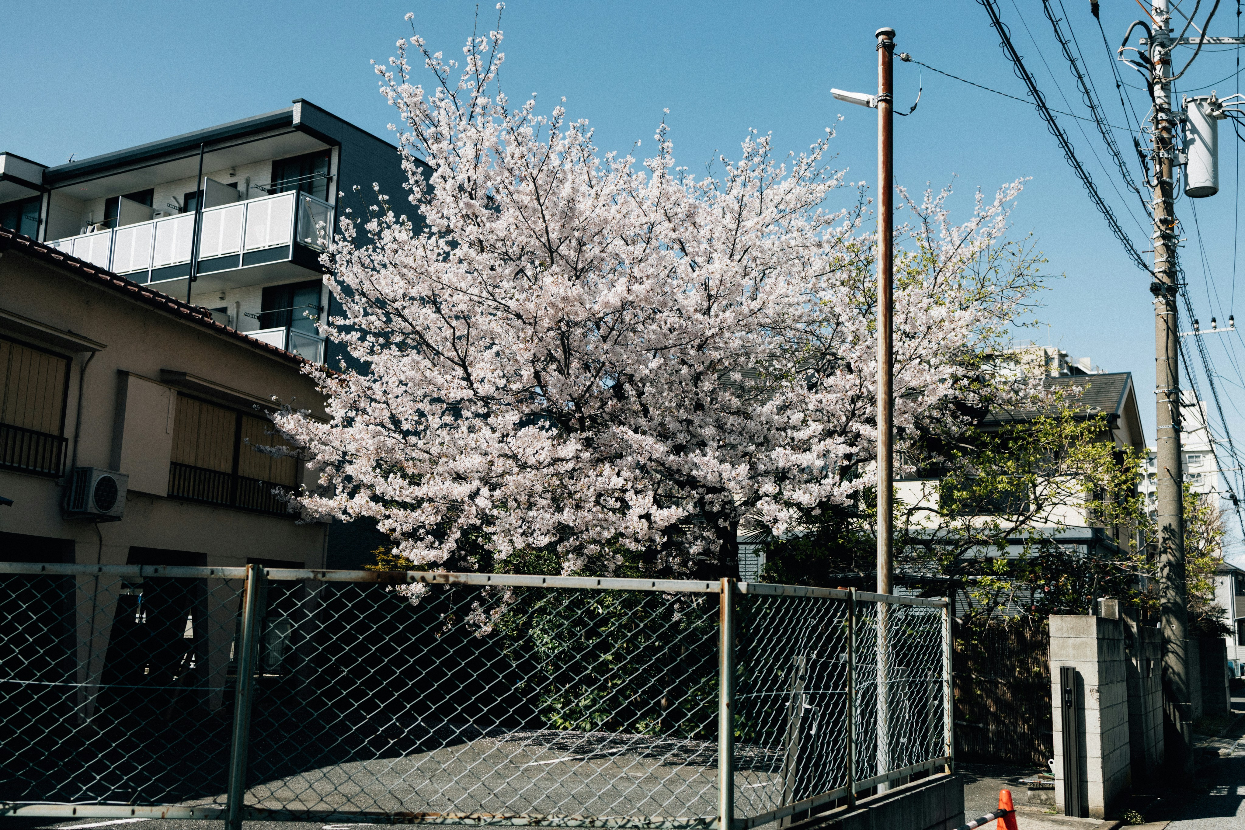 Photo by tsuyoshikozu