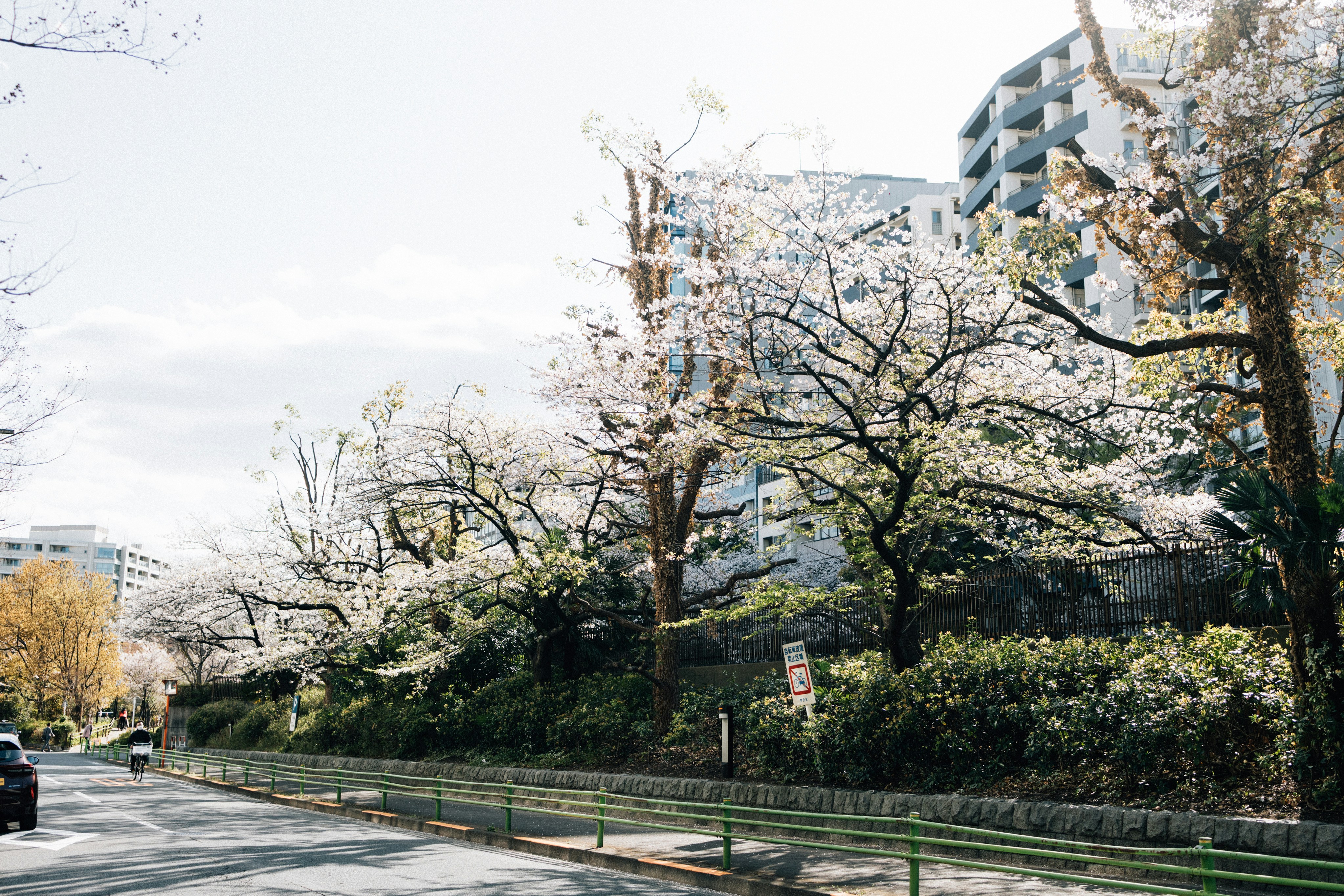 Photo by tsuyoshikozu