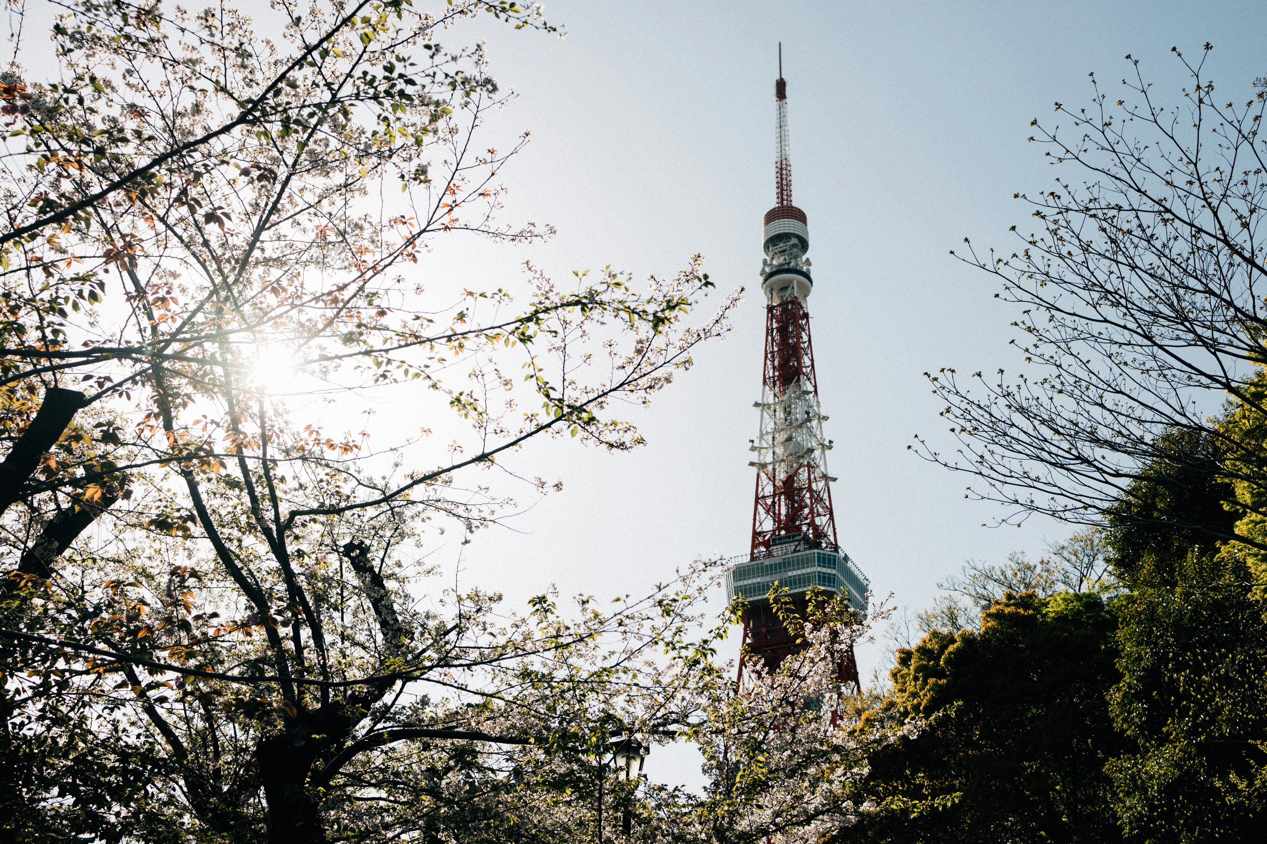 Photo by tsuyoshikozu