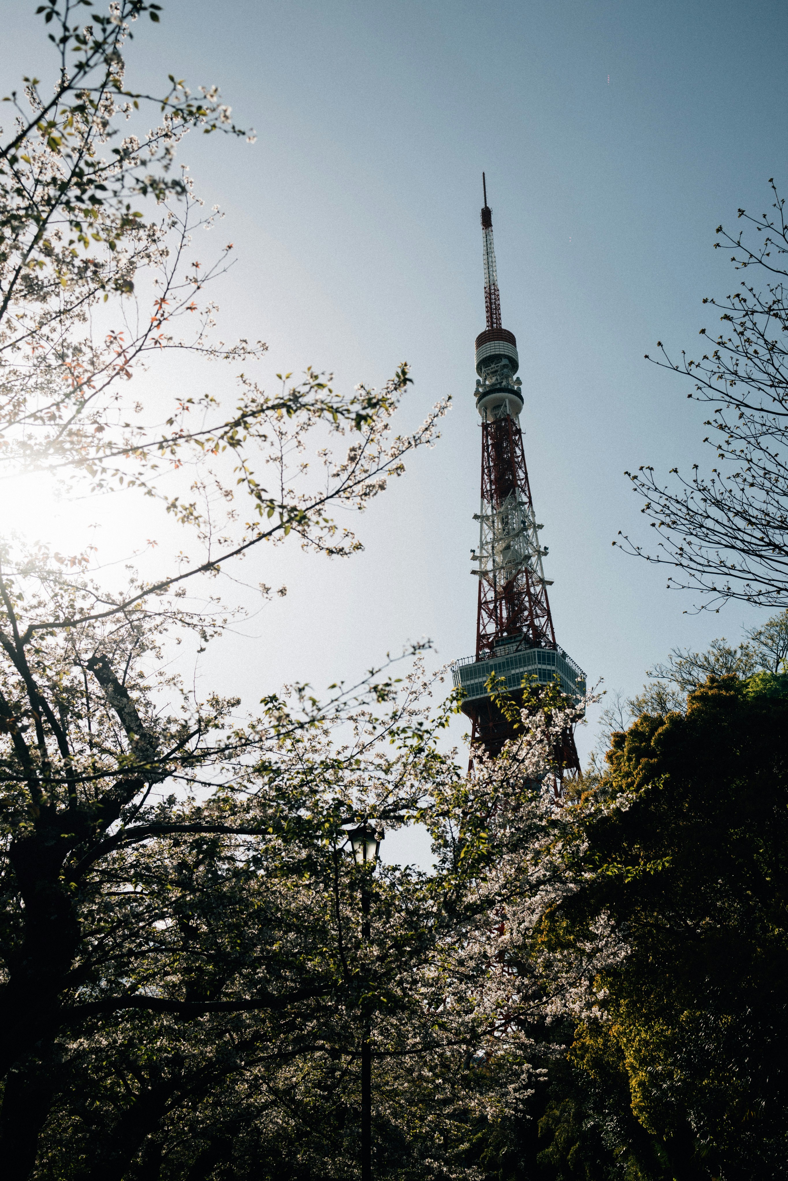 Photo by tsuyoshikozu