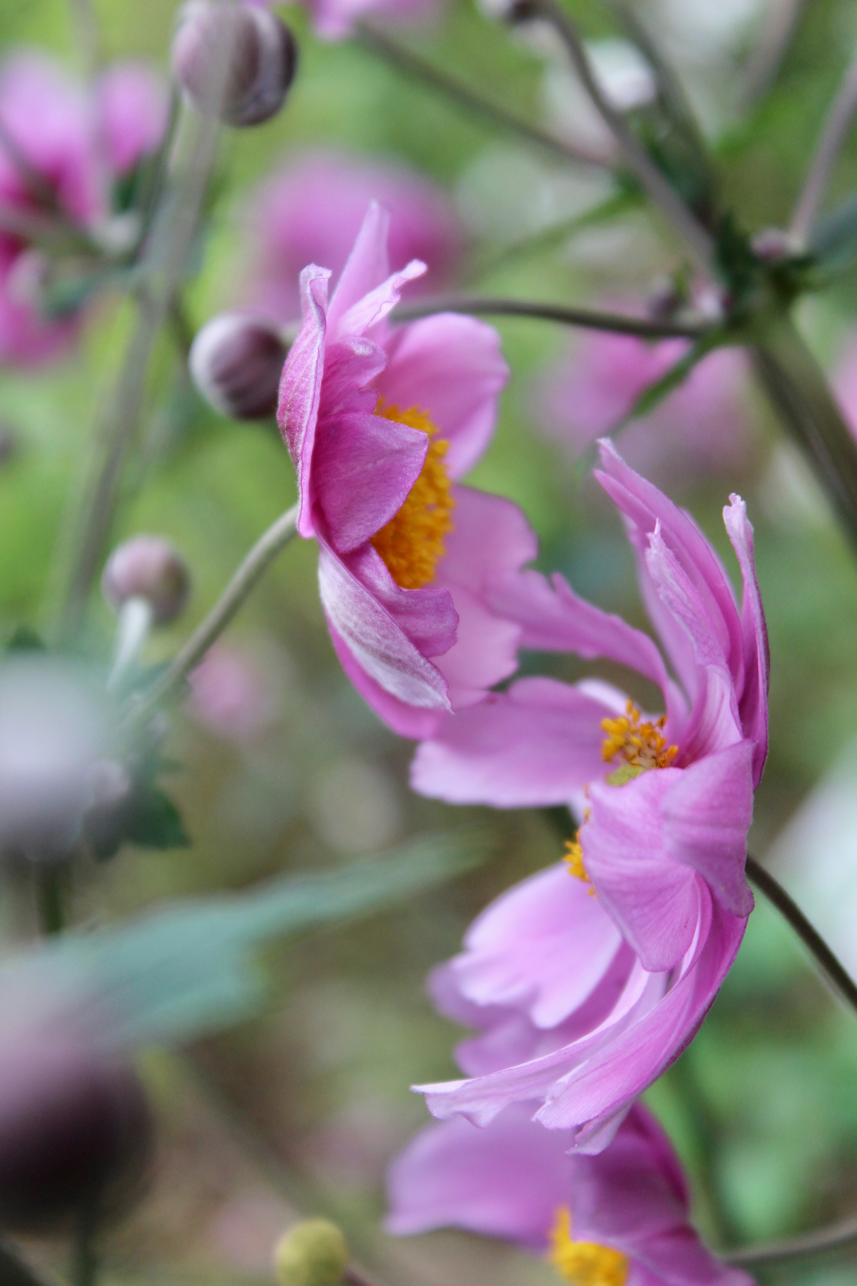 Photo by sanneschroeder