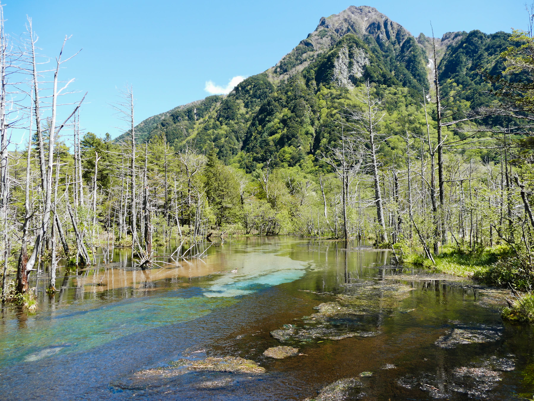 Clear river and Japanese Alps at Kamikochi