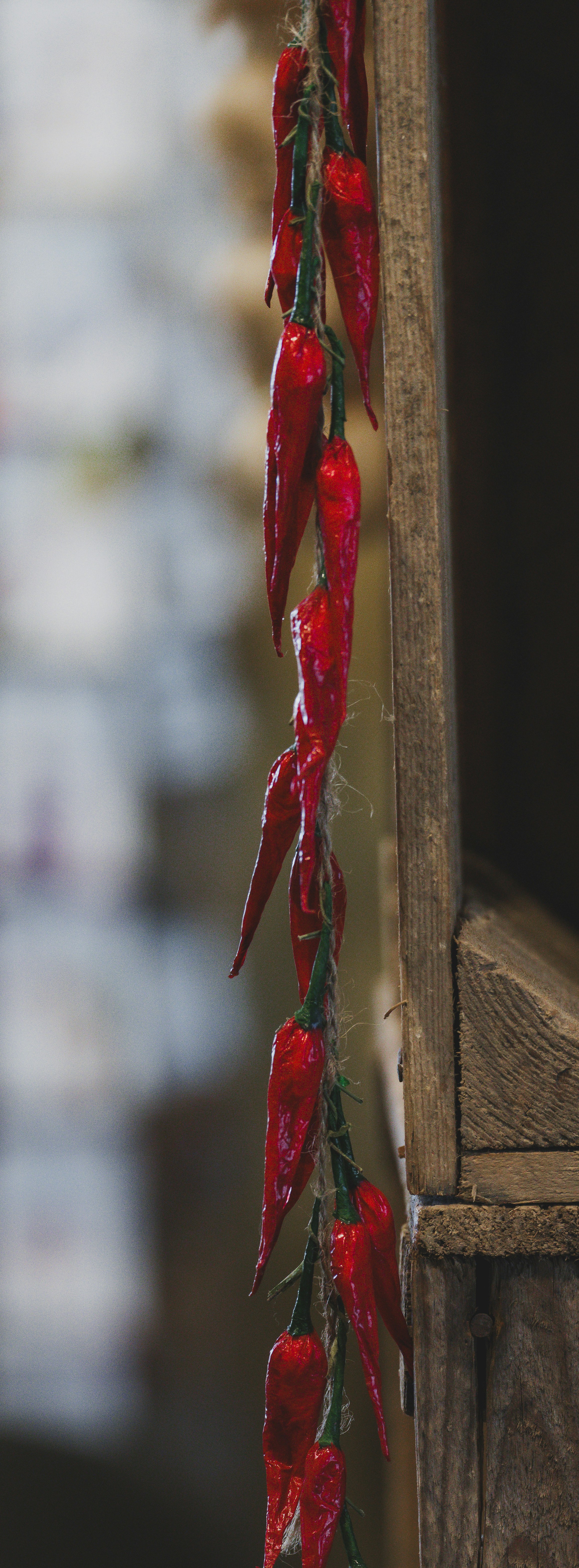 Photo by haberdoedas