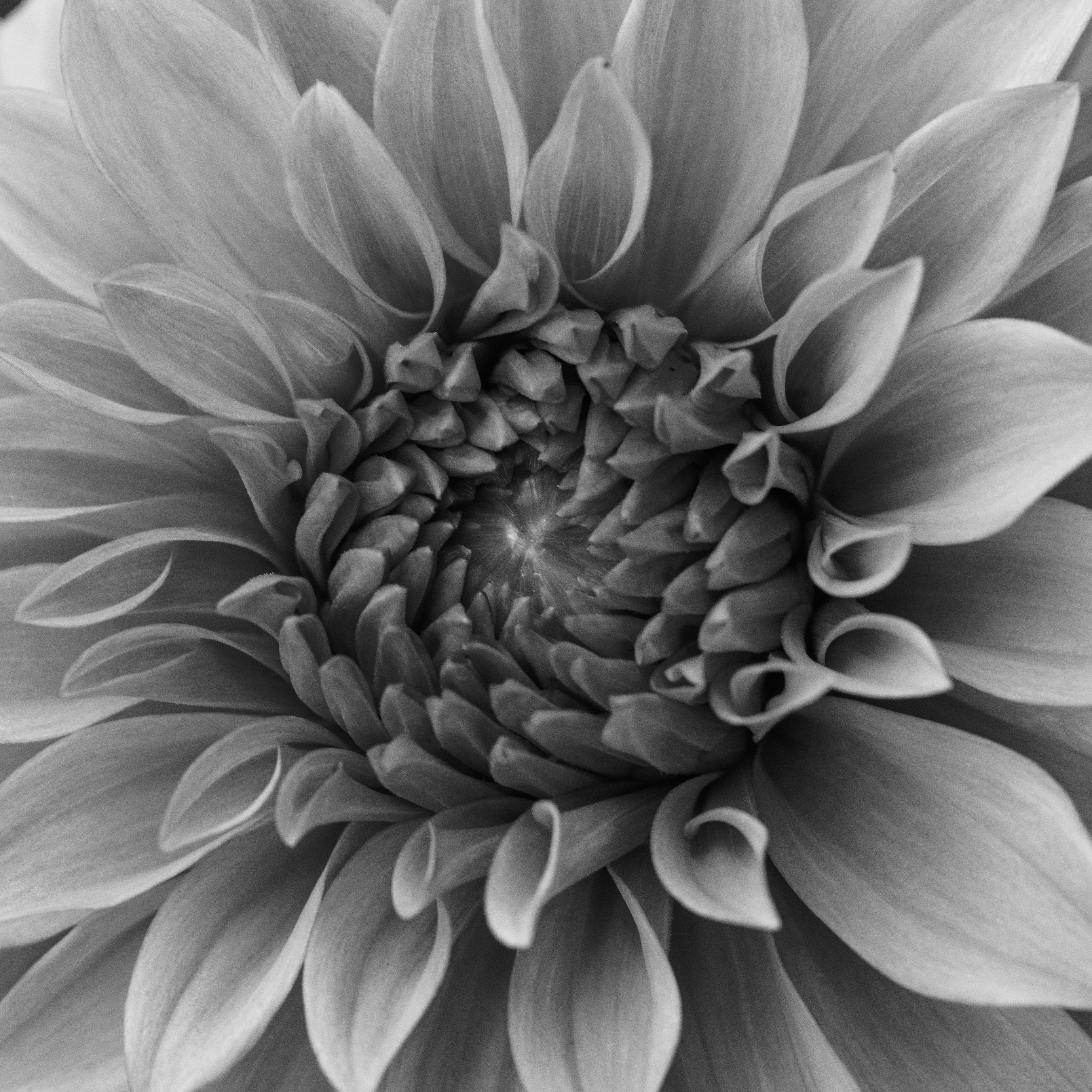 Photo by haberdoedas