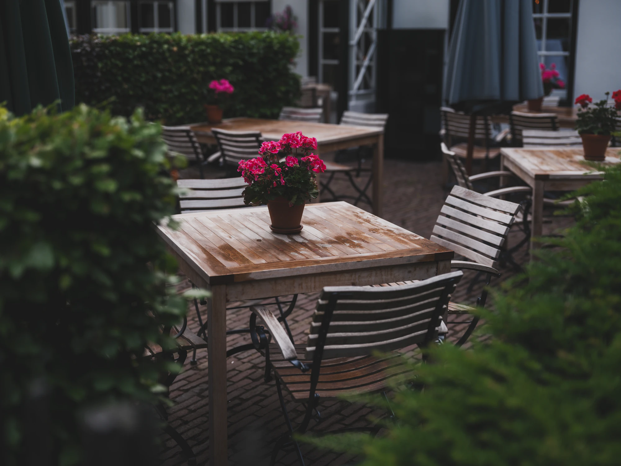 A vibrant flowering pub garden with wooden tables and a relaxed outdoor atmosphere