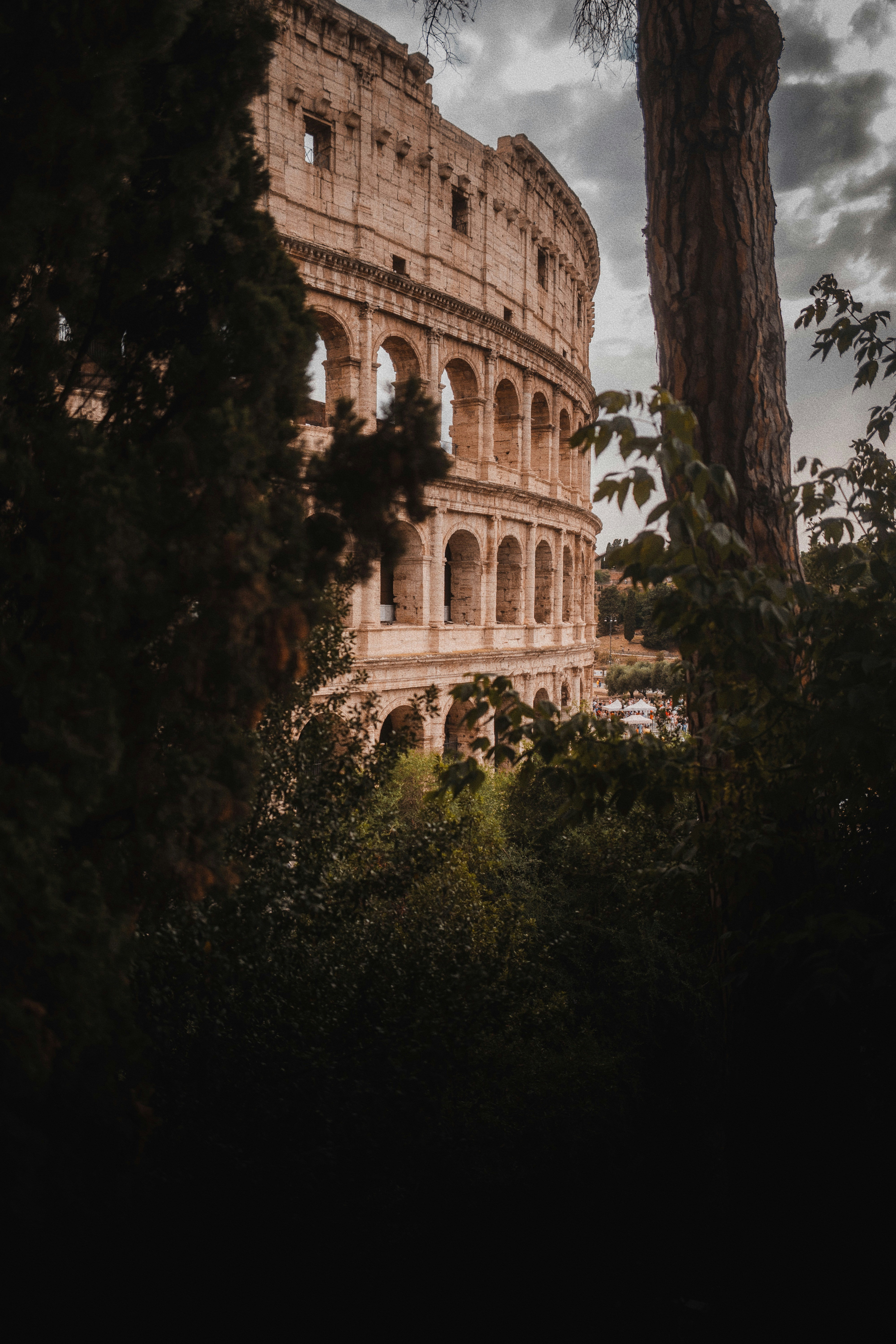 コロッセオは周囲の木々の後ろにそびえ立っています。