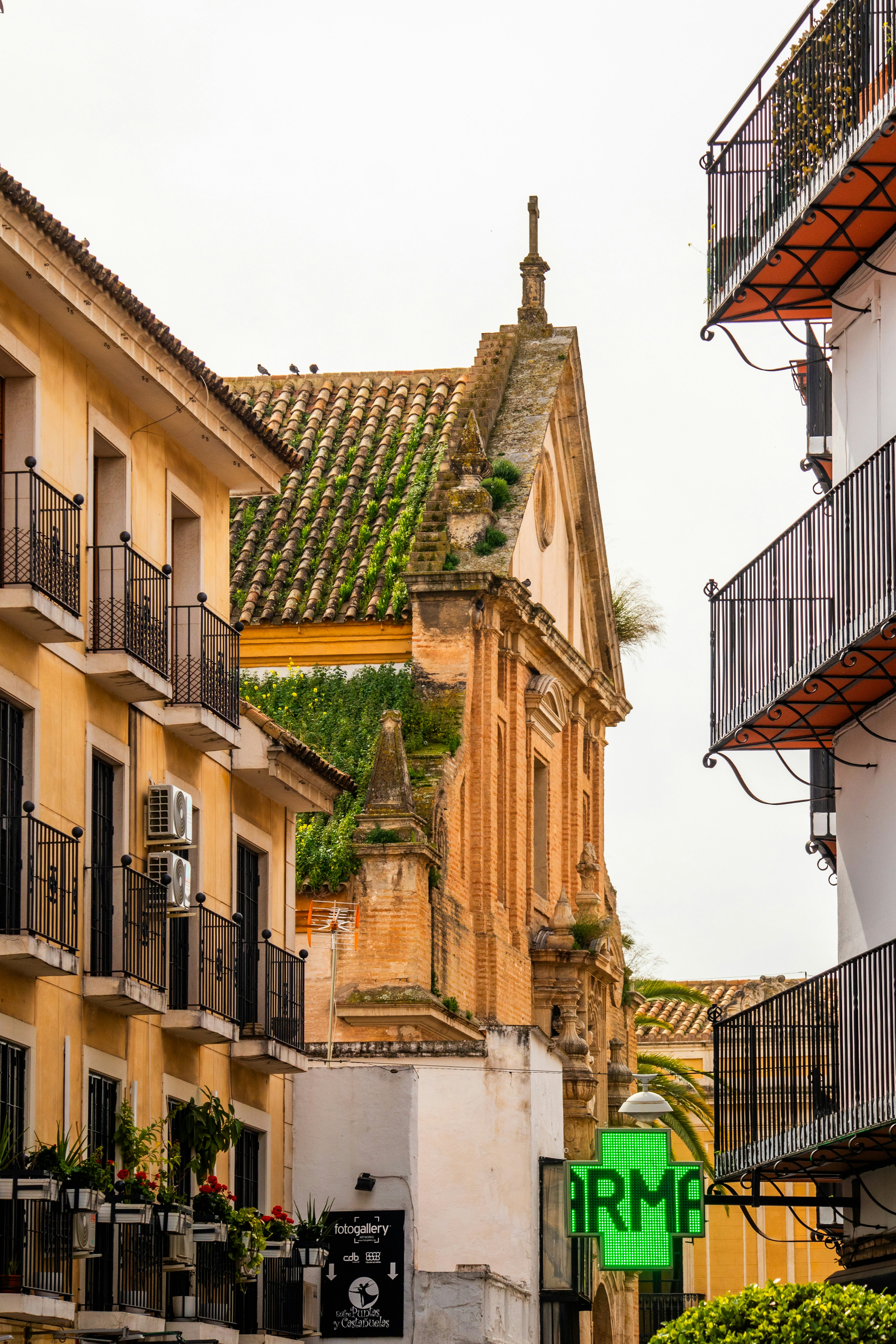 Photo by woomantsing