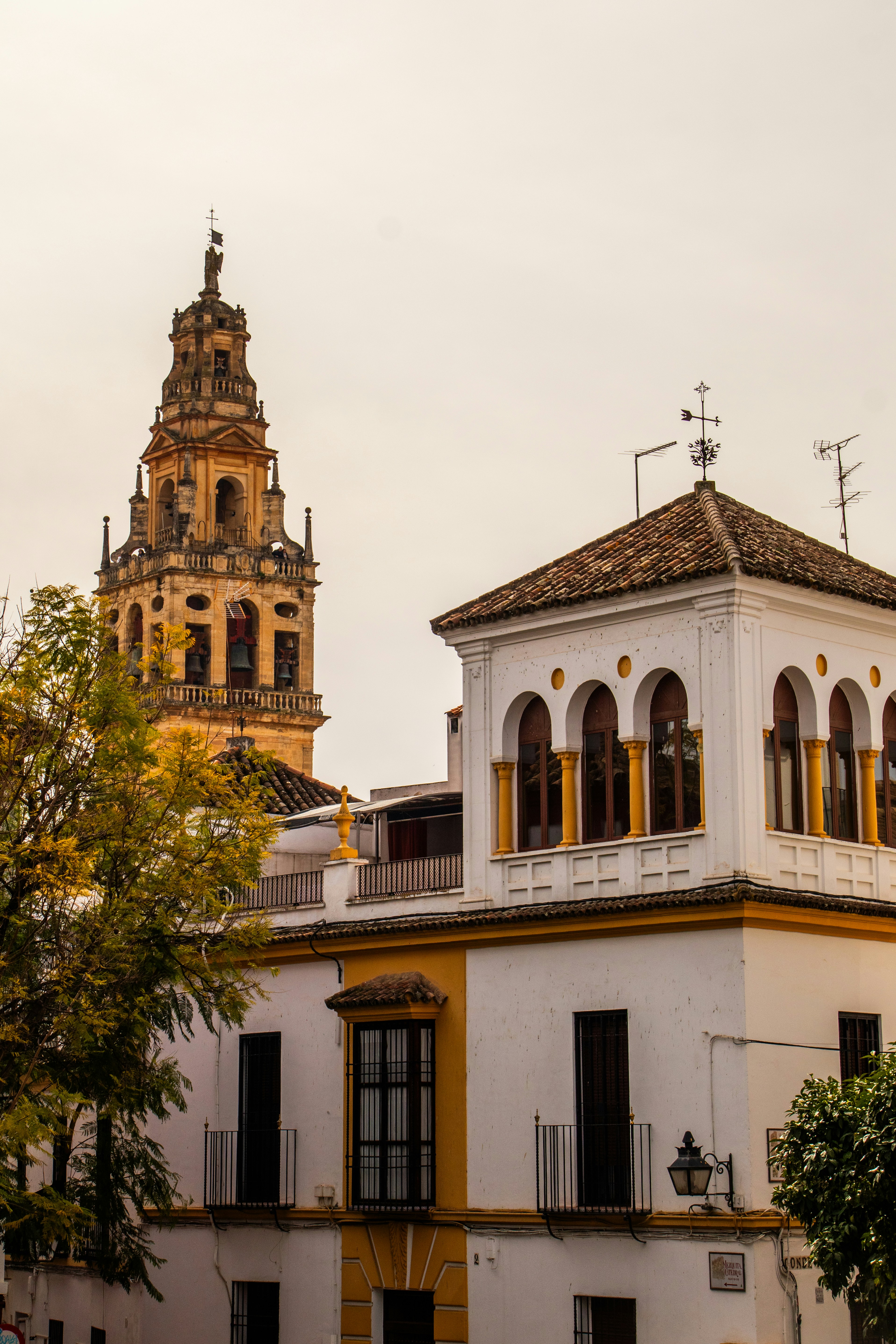 Photo by woomantsing