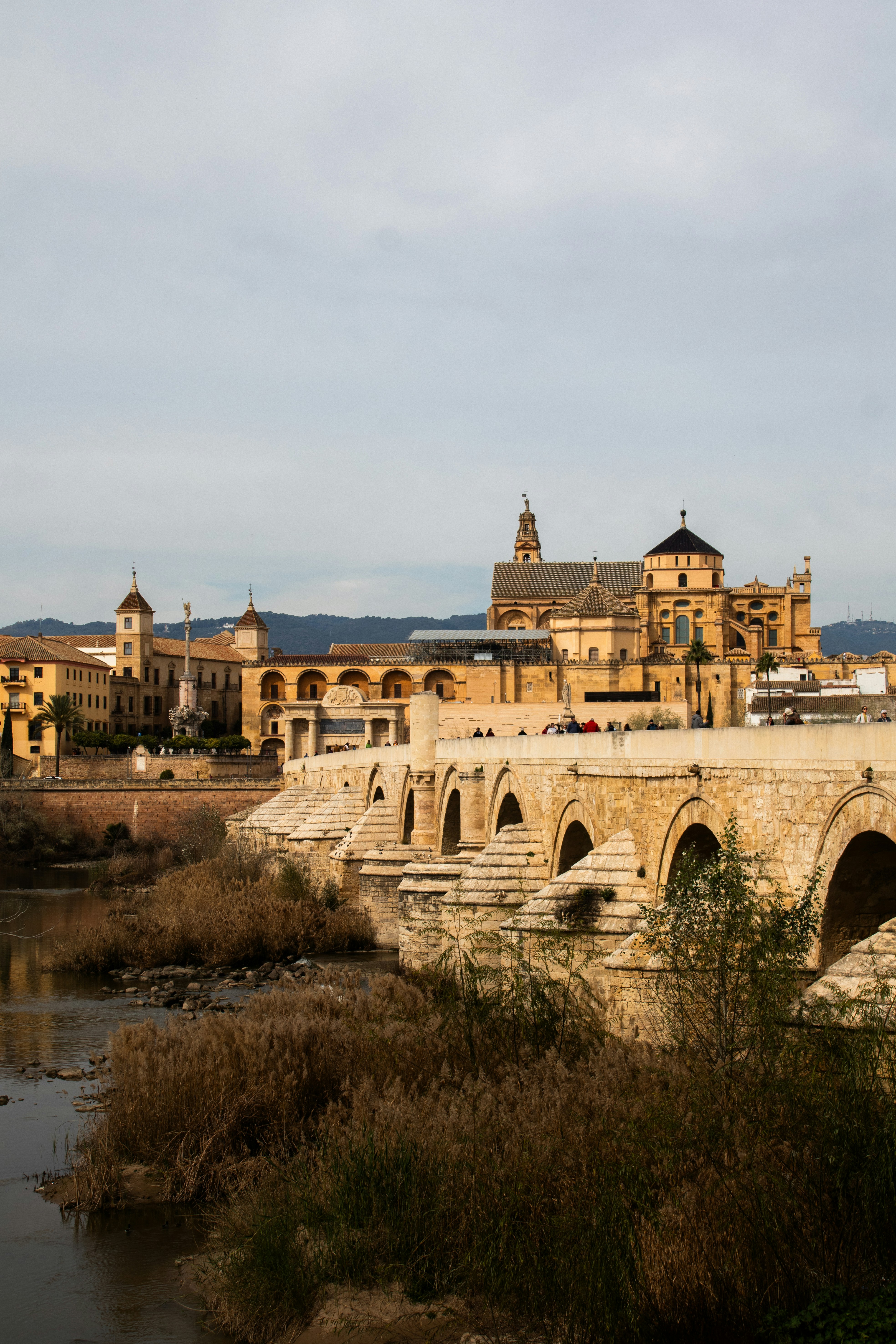 Top 5 Expertos en n8n en Salamanca