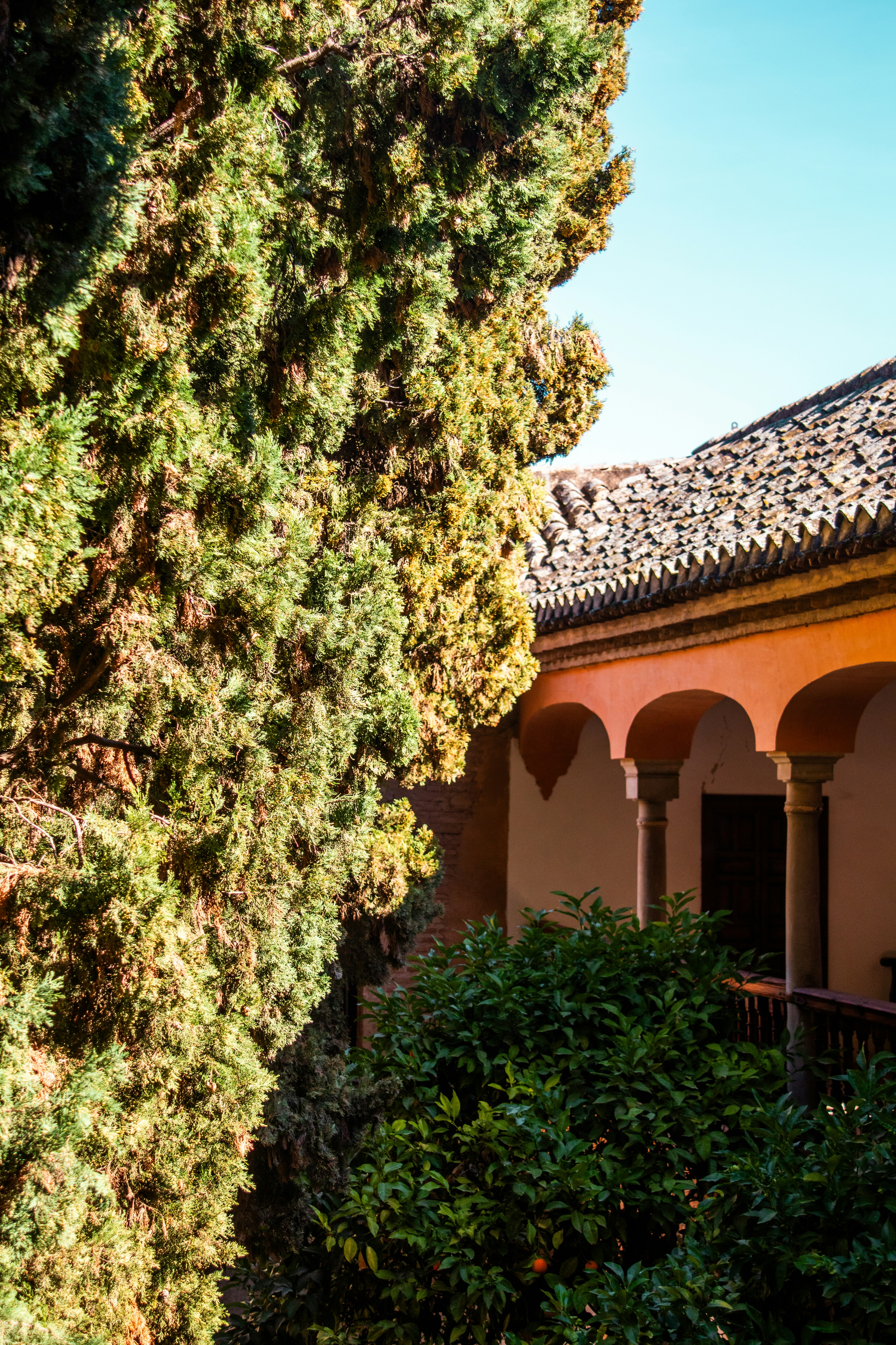 Photo by woomantsing