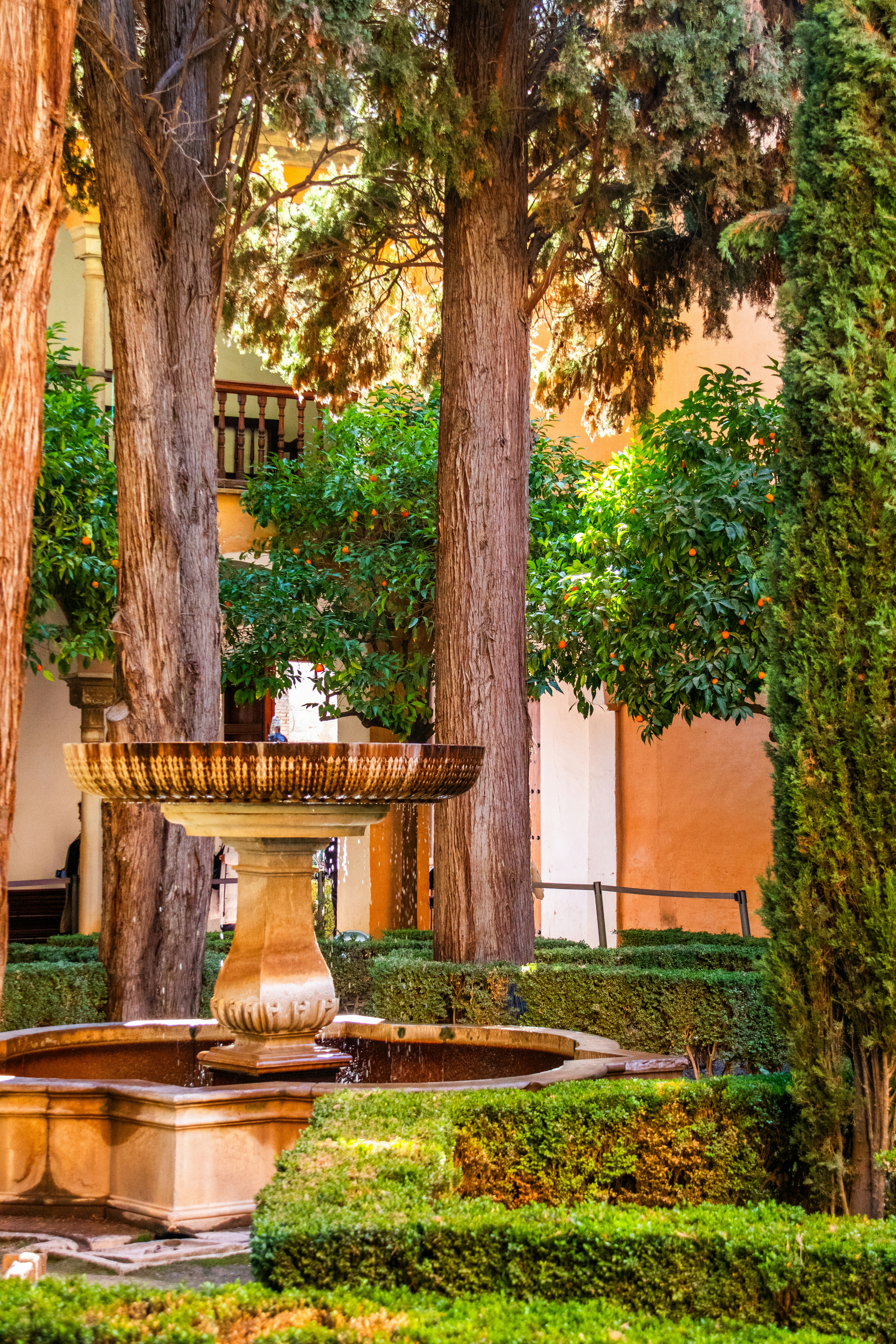 Photo by woomantsing