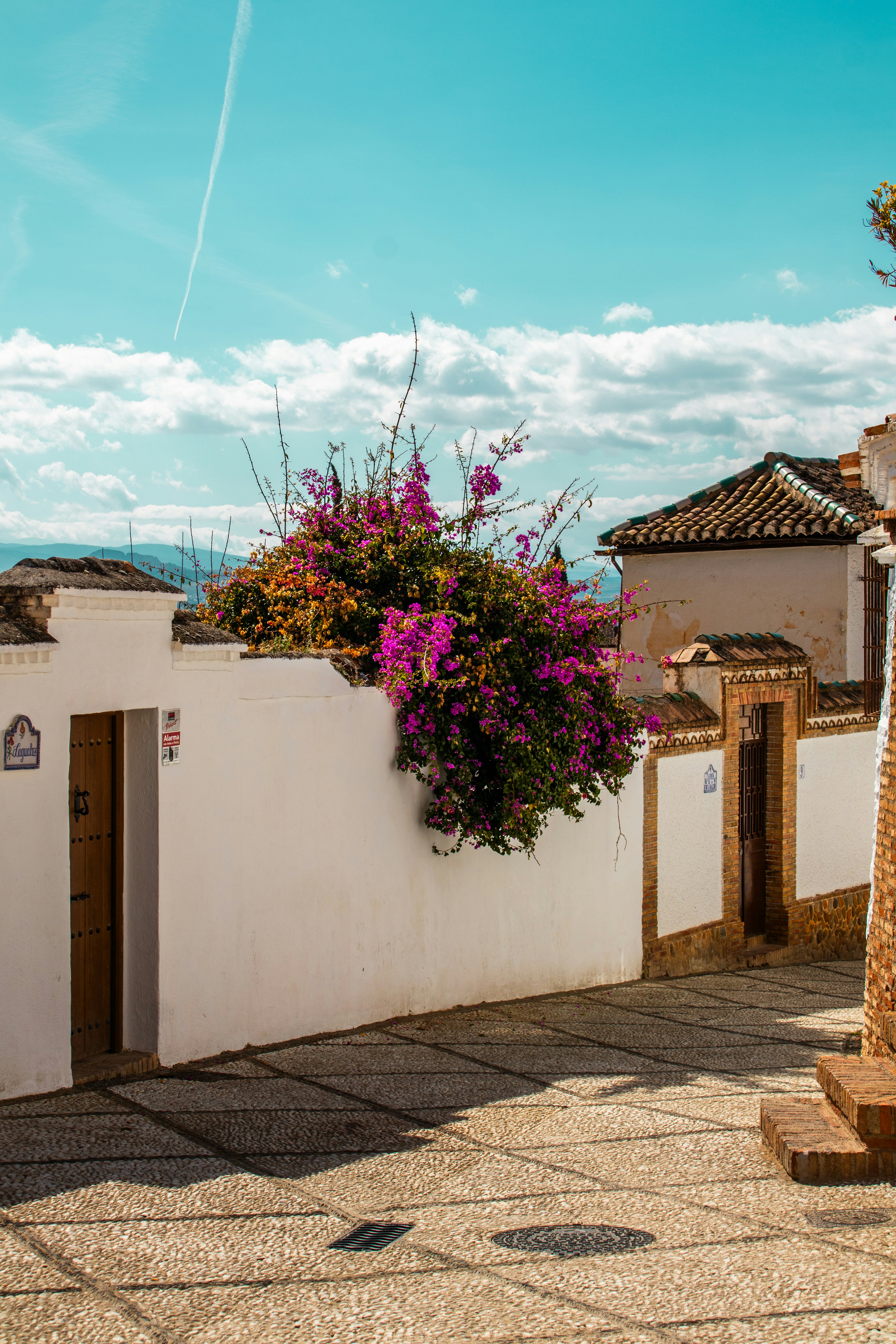 Photo by woomantsing