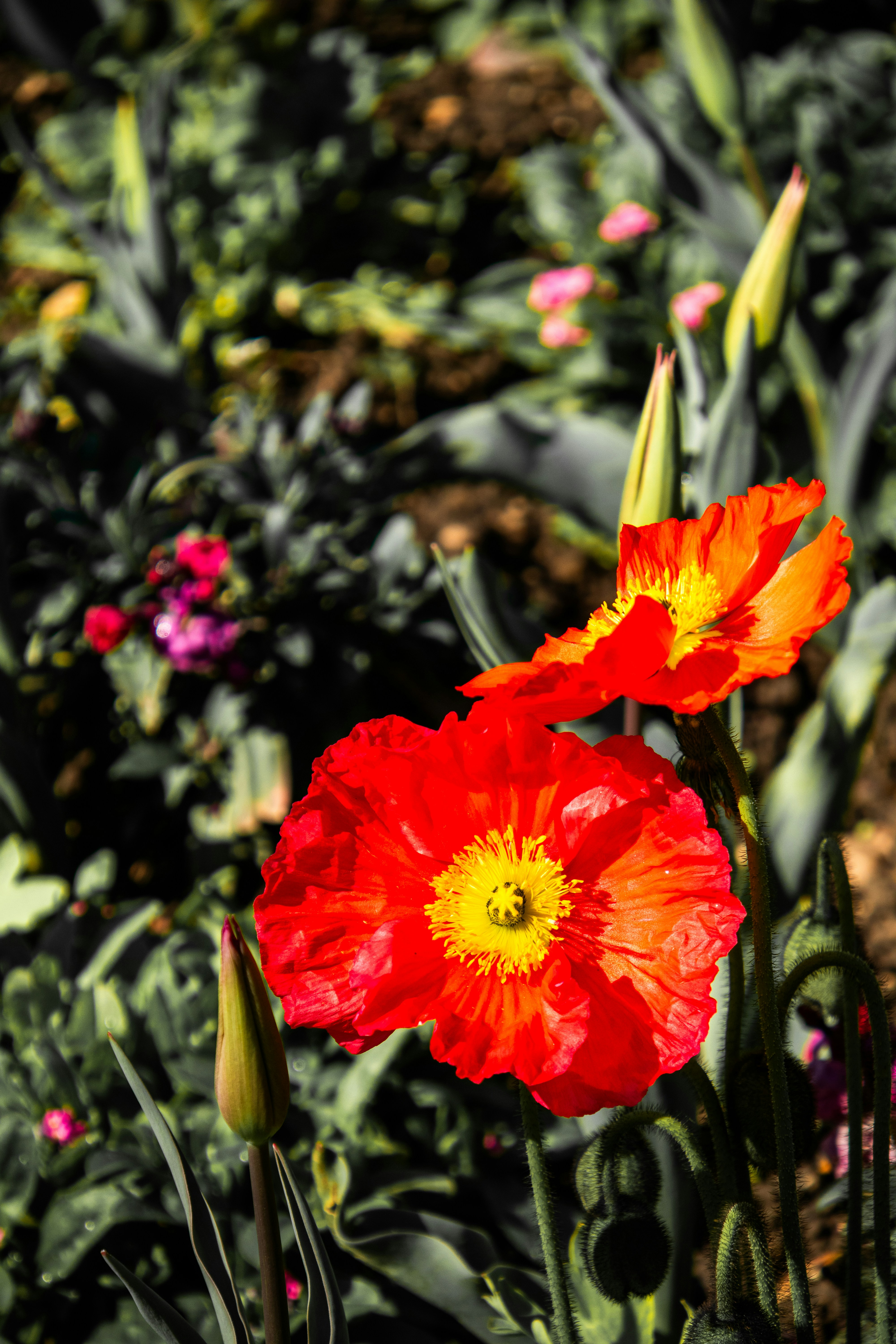 Photo by woomantsing