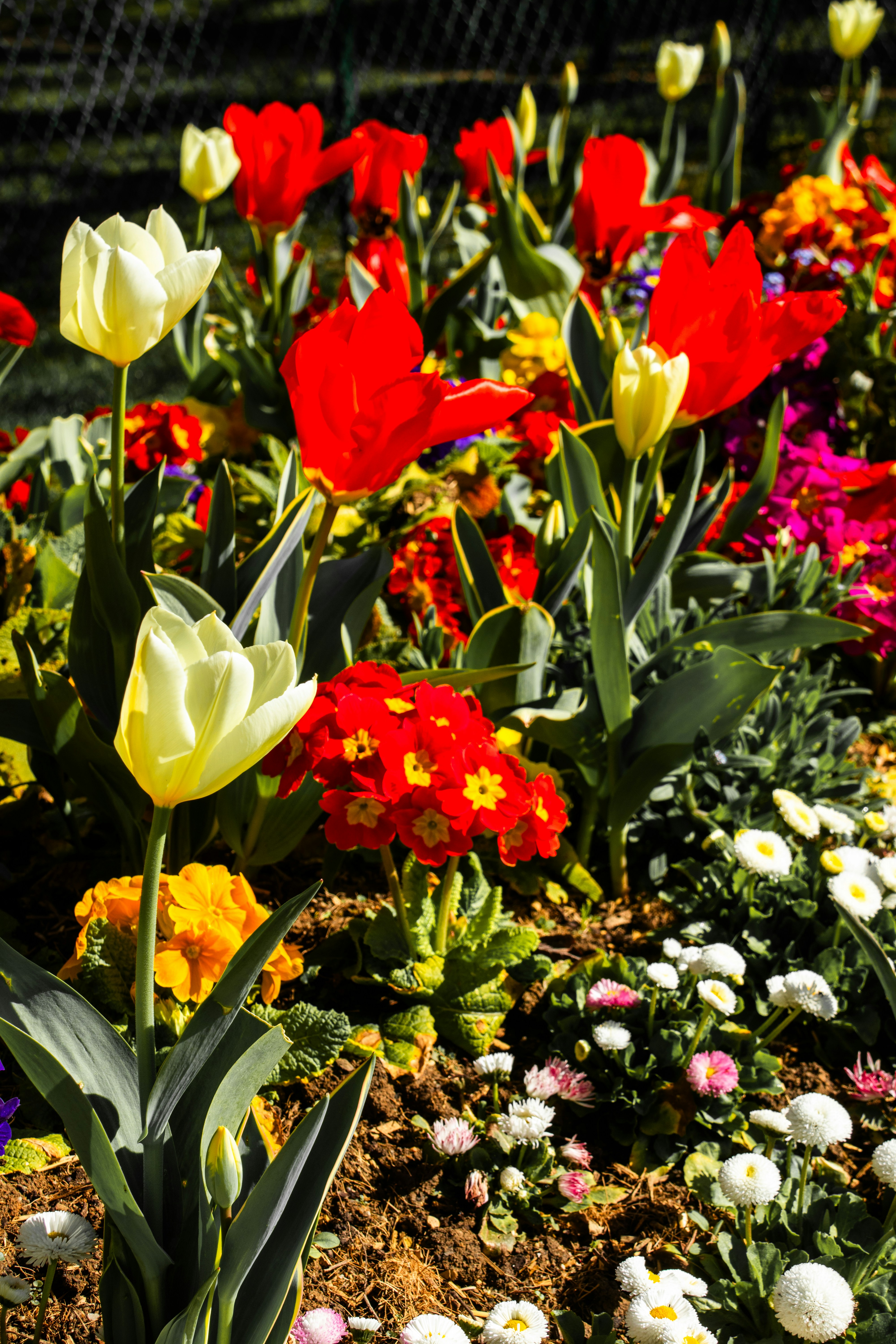 Photo by woomantsing