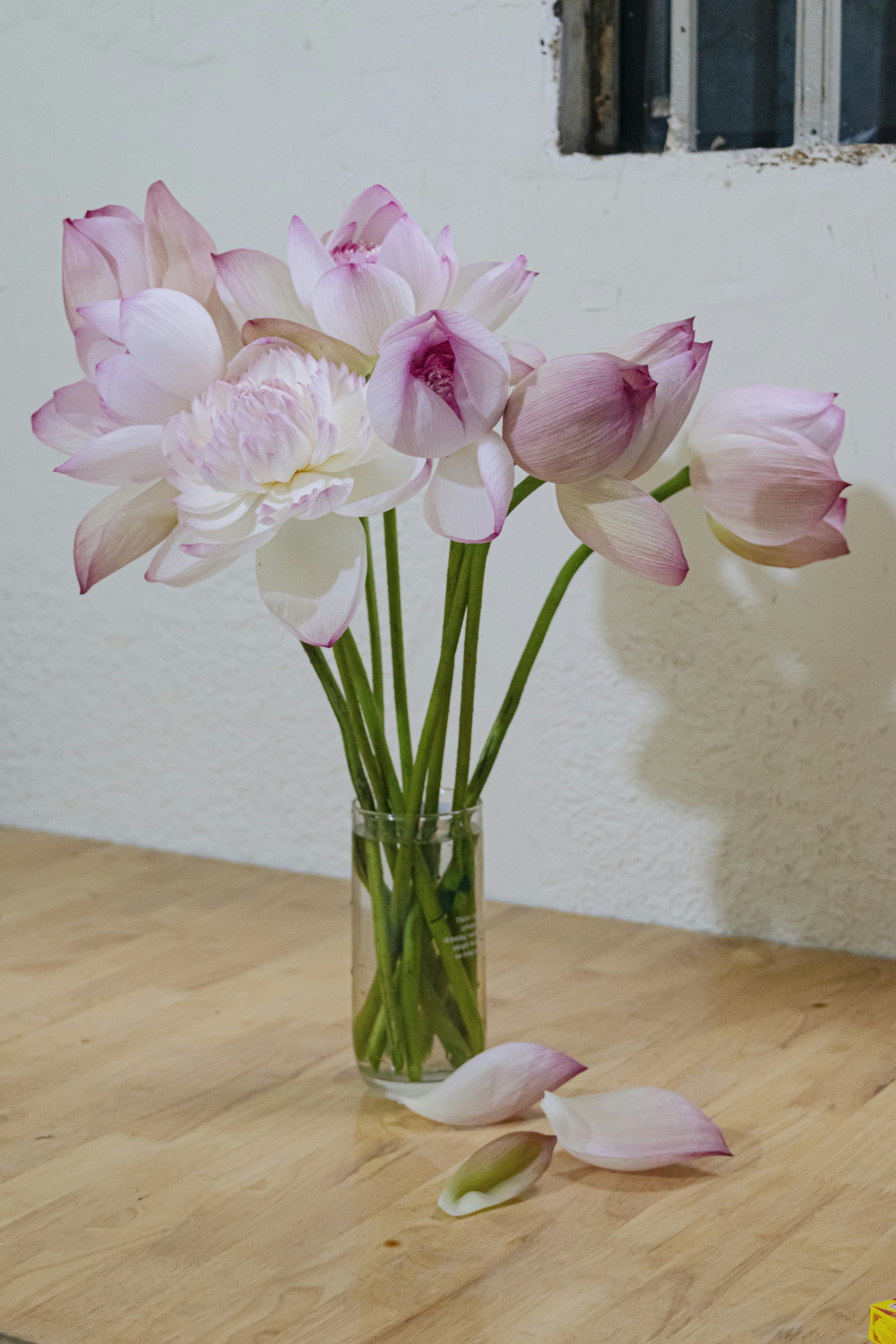 Beautiful pink lotus flowers in a clear vase.