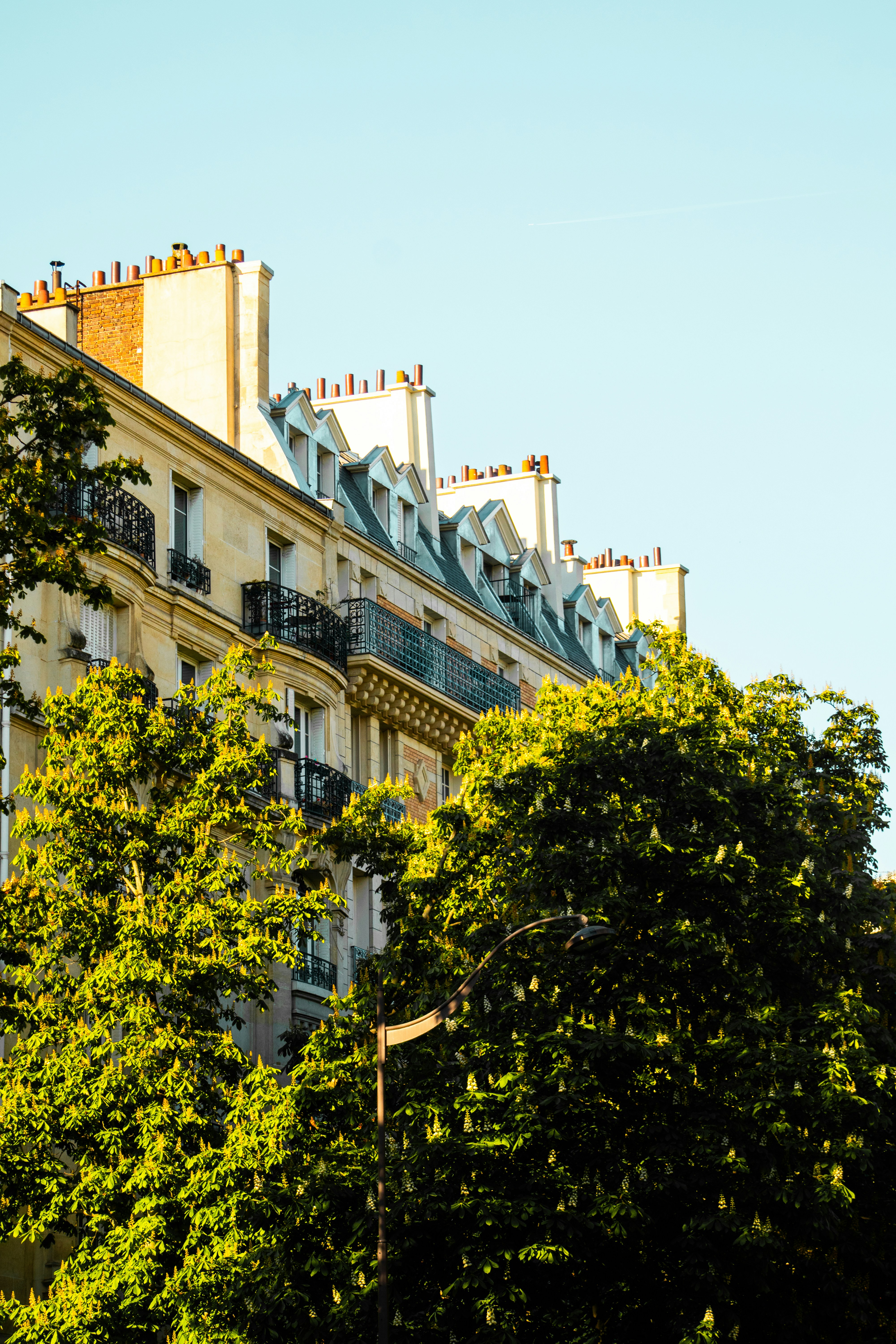 Photo by woomantsing