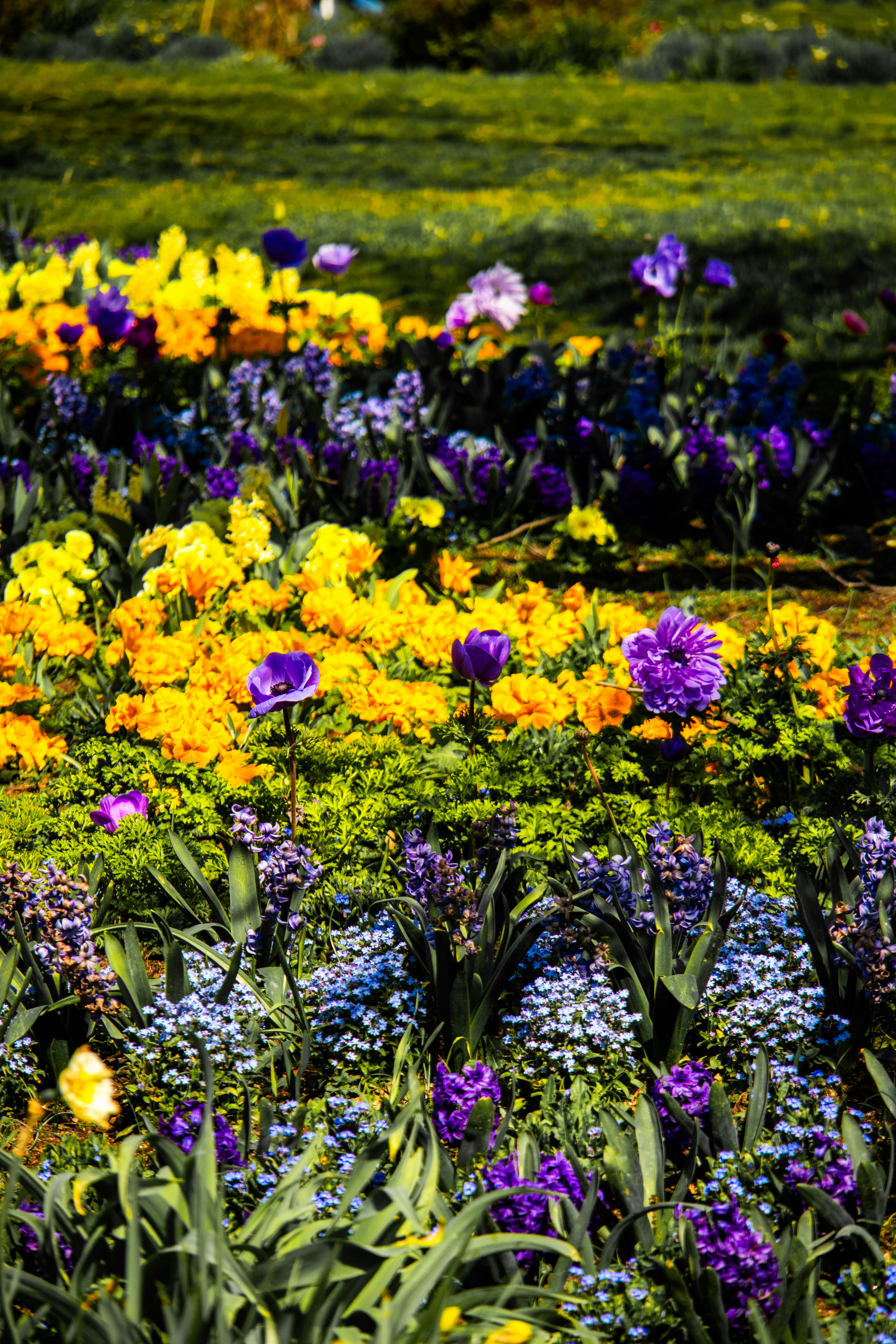 Photo by woomantsing