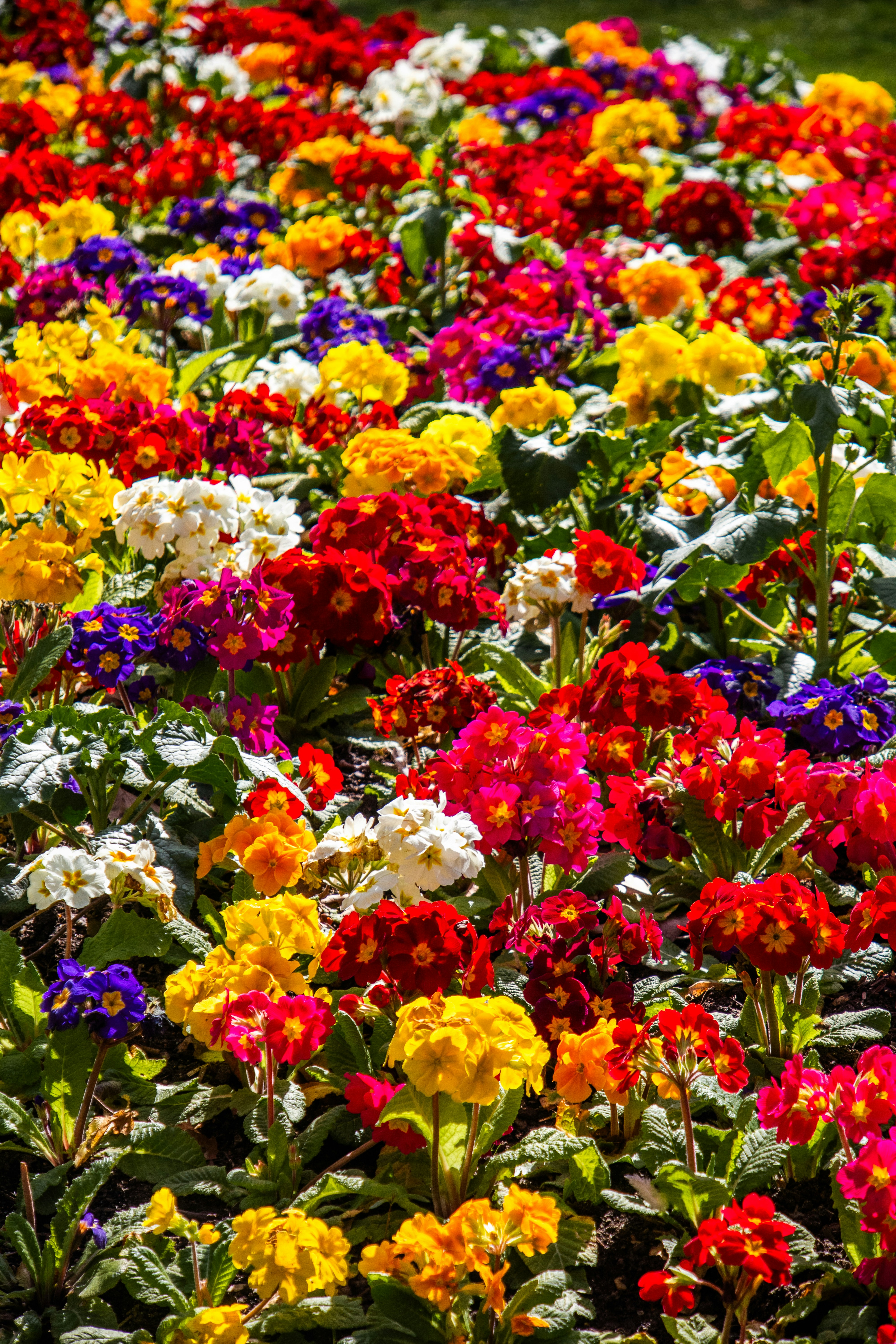 Photo by woomantsing