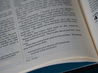 The bible page shows a passage about the snake.