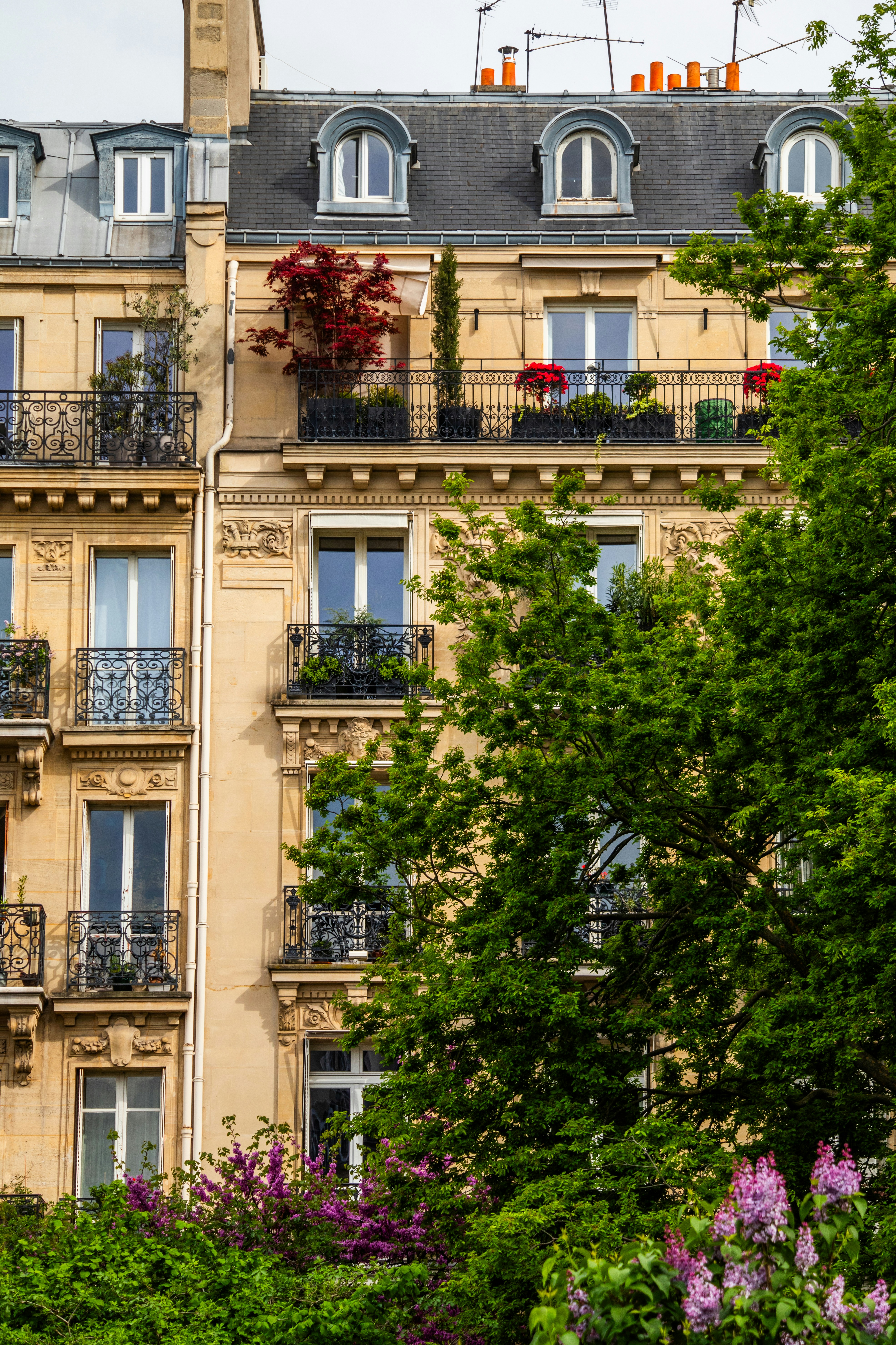 Photo by woomantsing