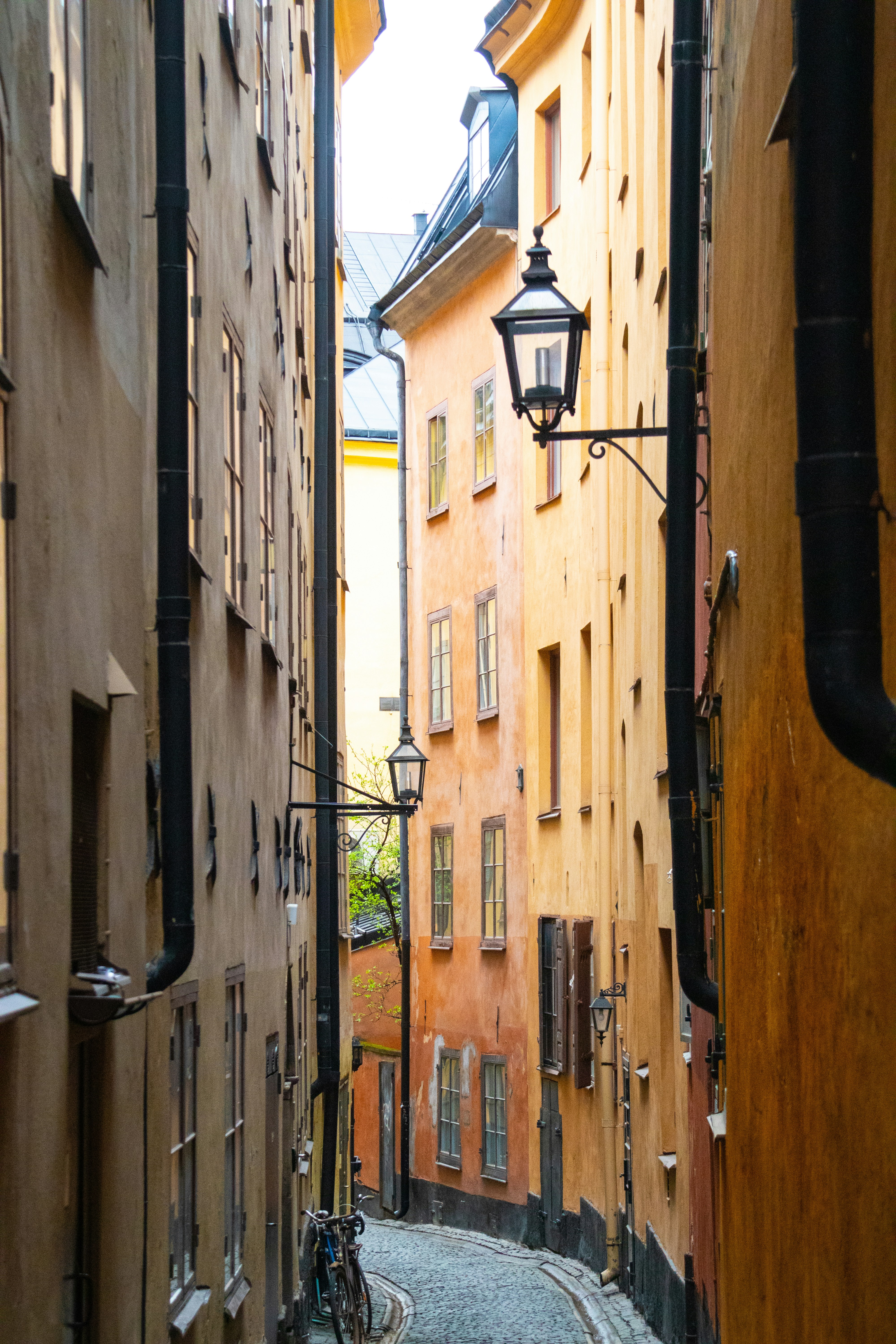 Photo by woomantsing