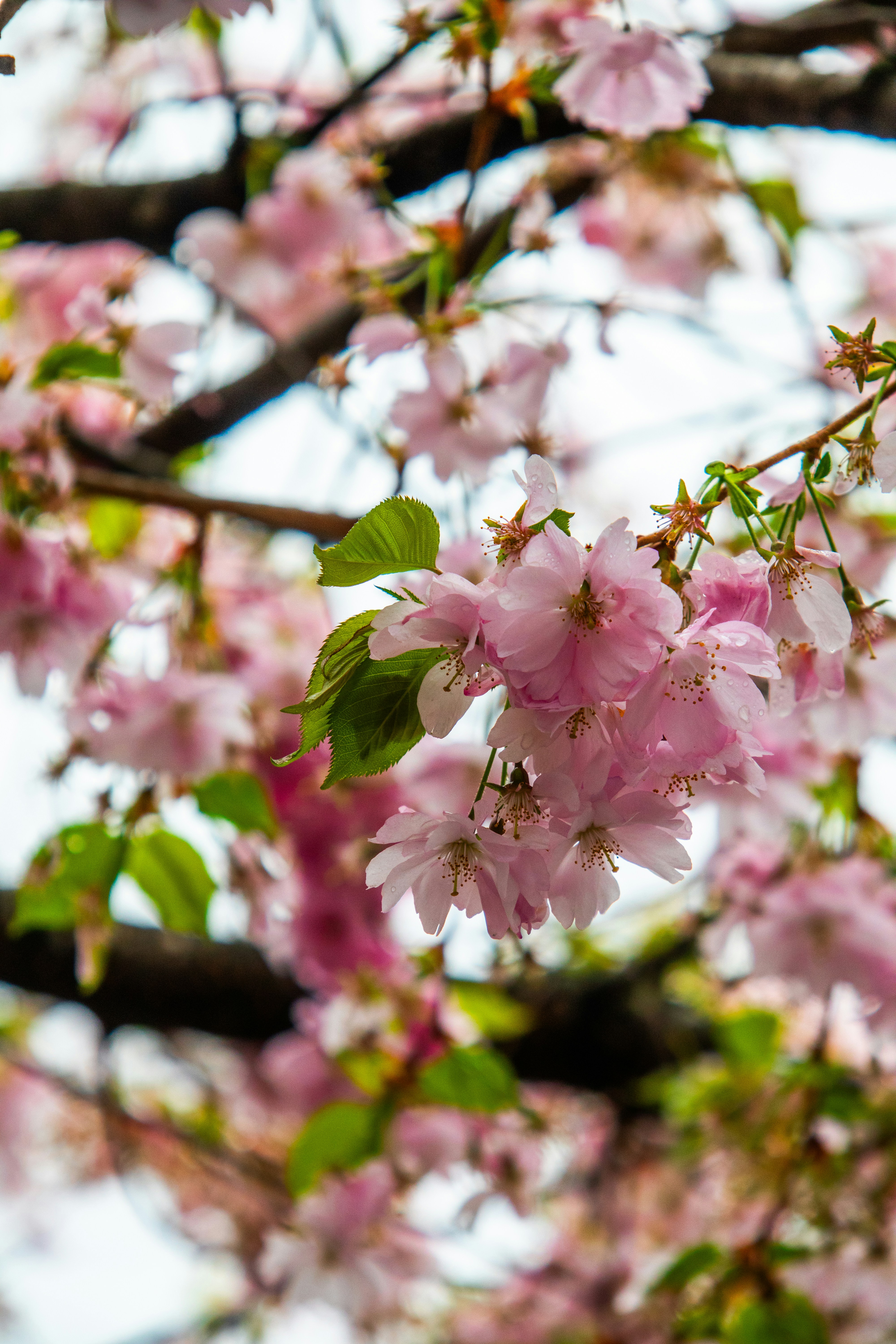 Photo by woomantsing