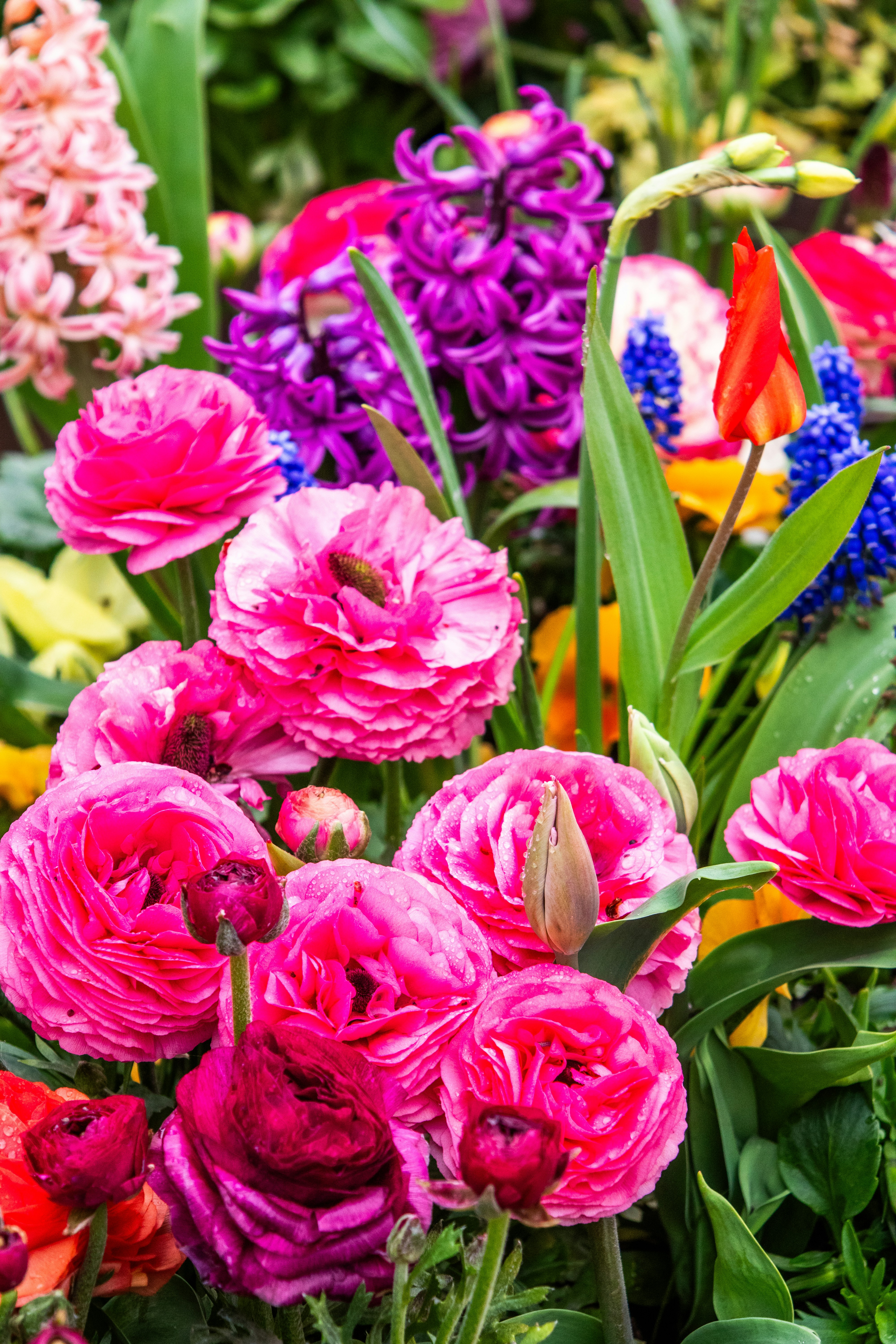 Photo by woomantsing