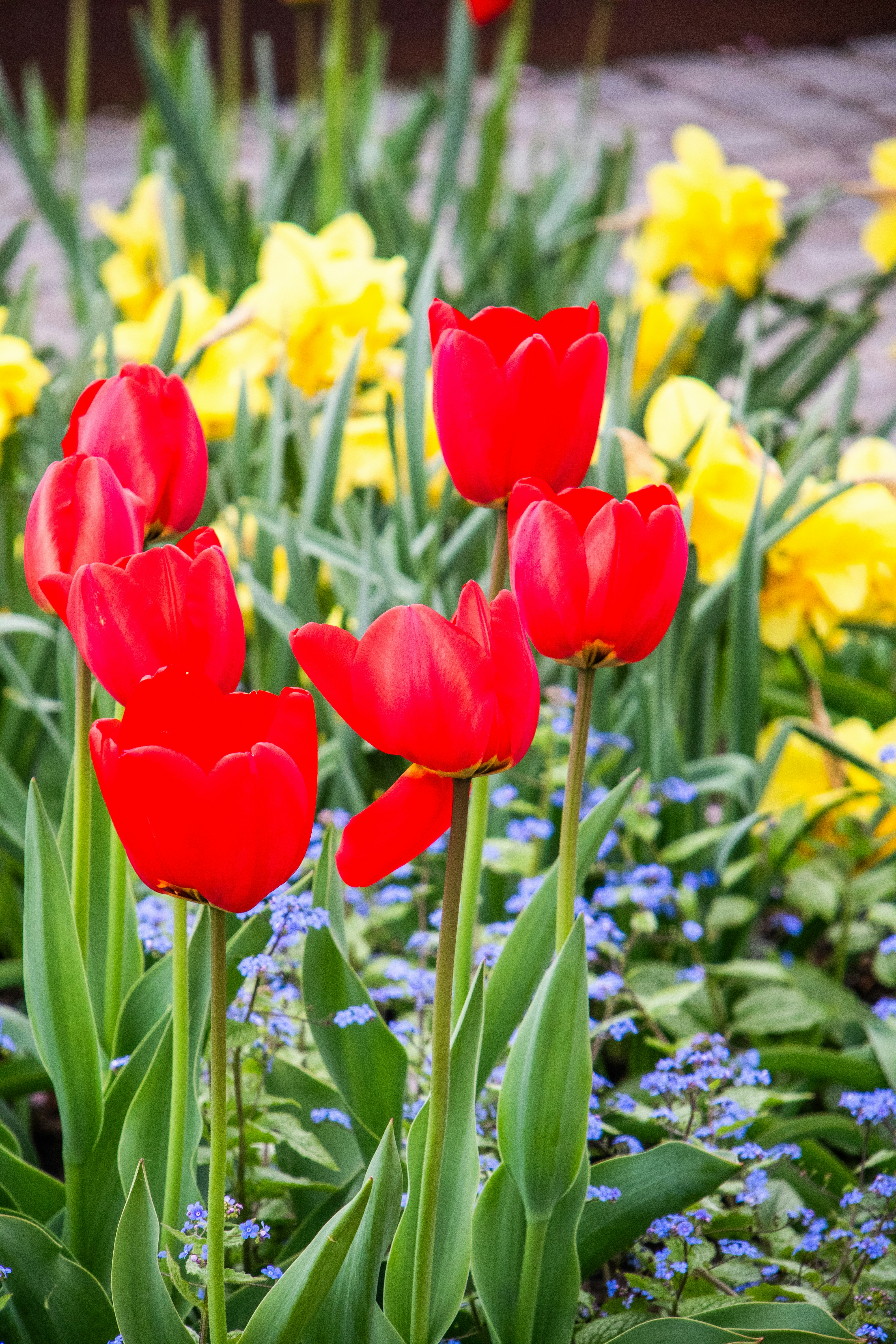 Photo by woomantsing