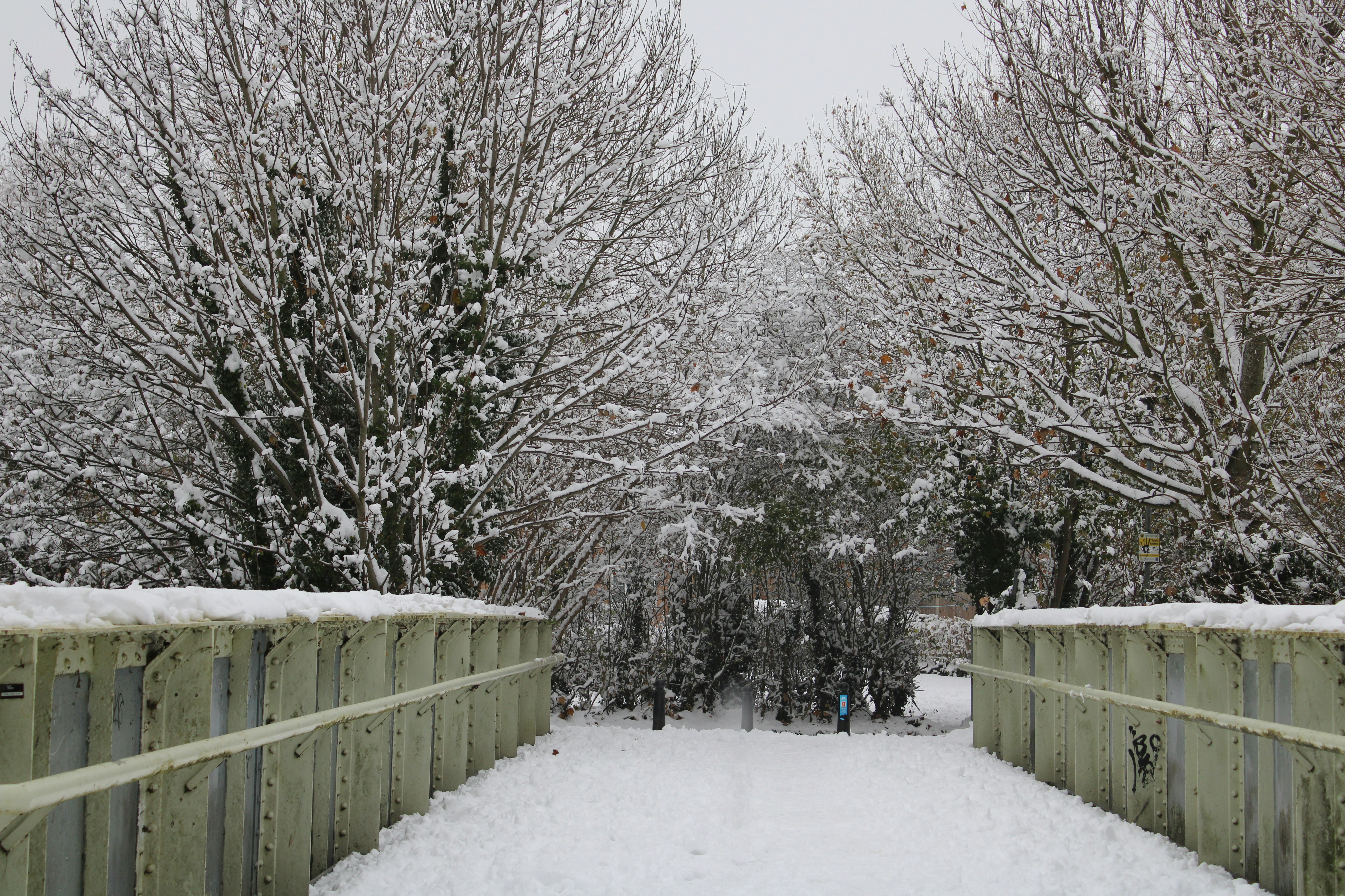 Photo by fastmarkers