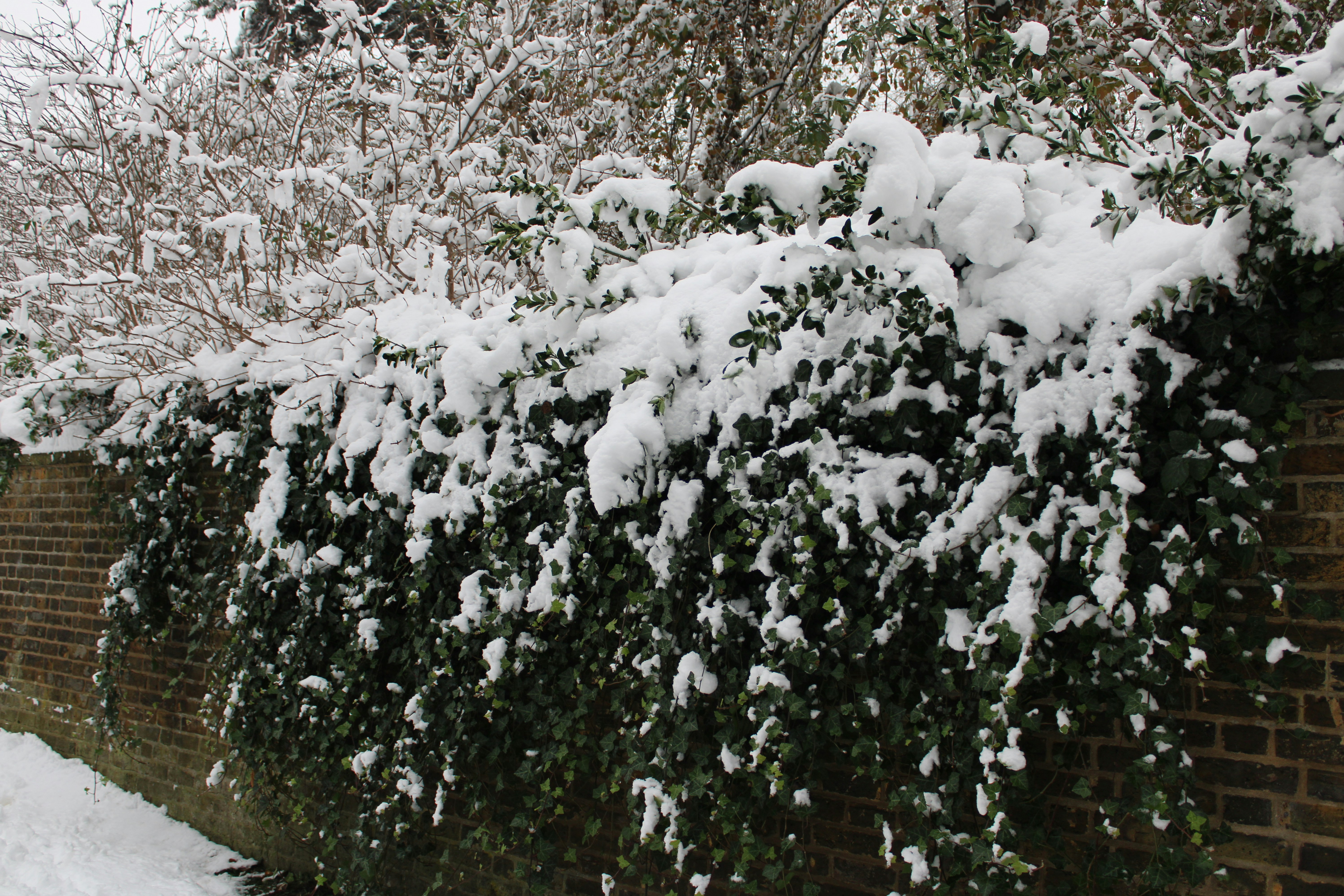 Photo by fastmarkers