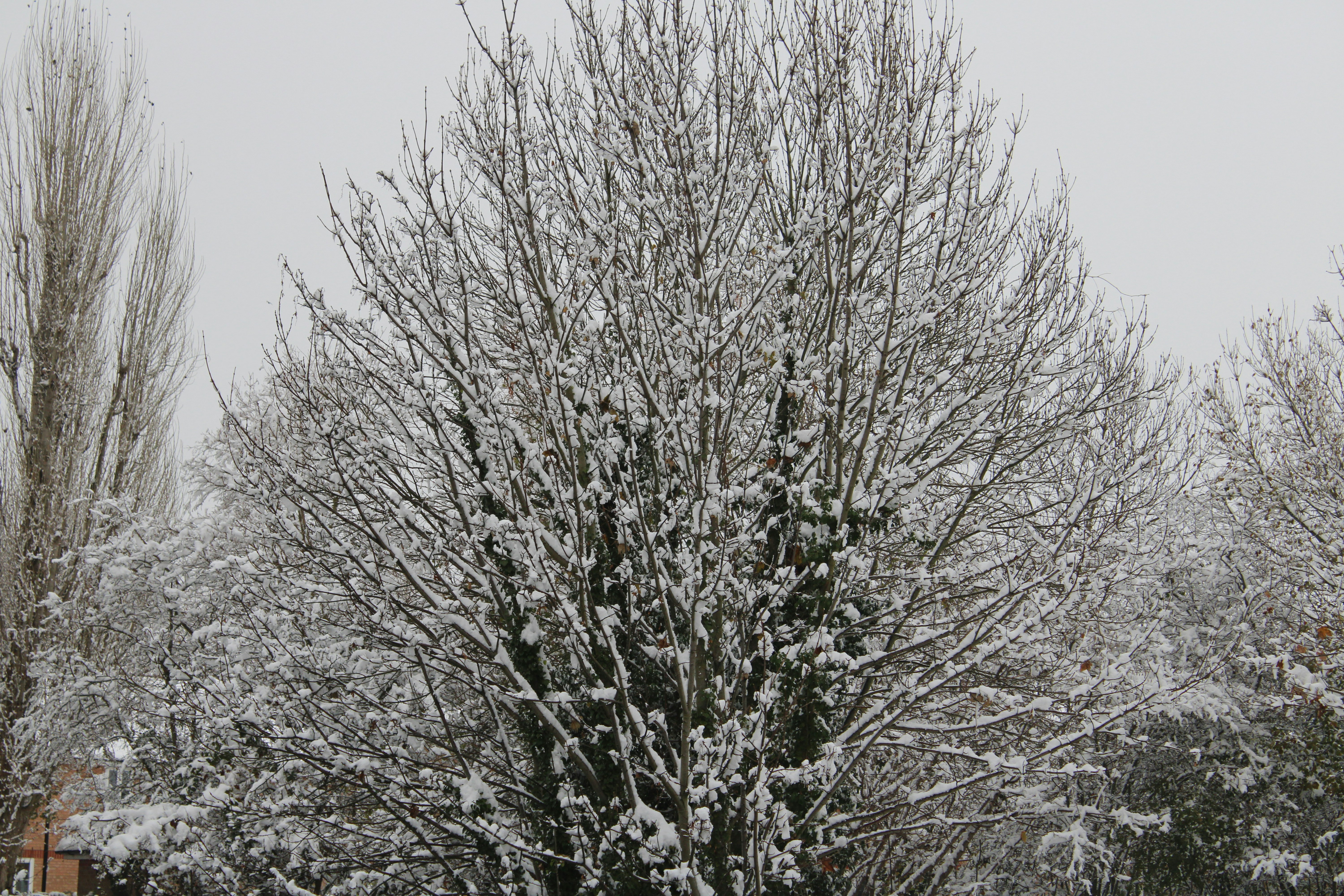 Photo by fastmarkers