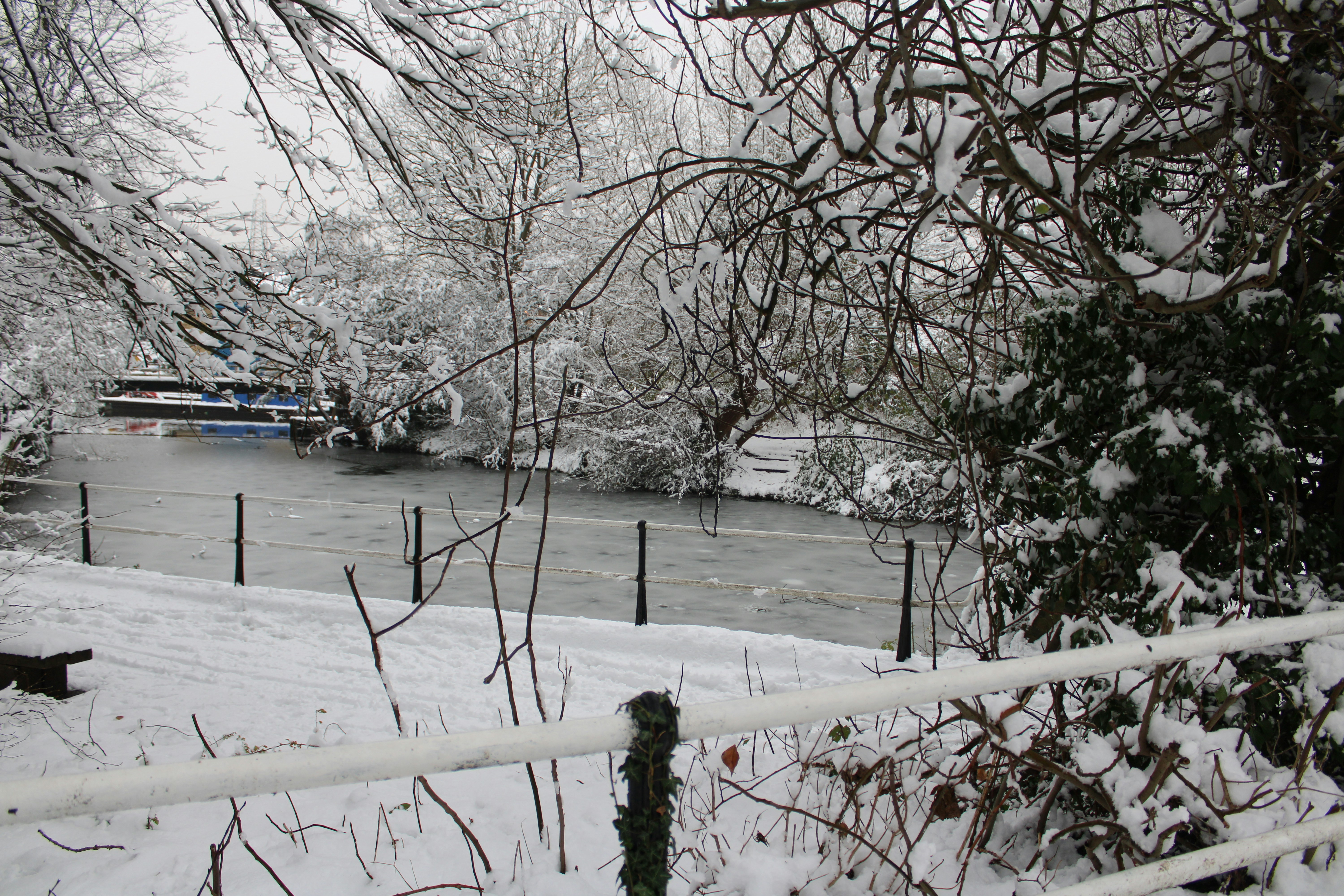 Snow coats a river and its surrounding trees.