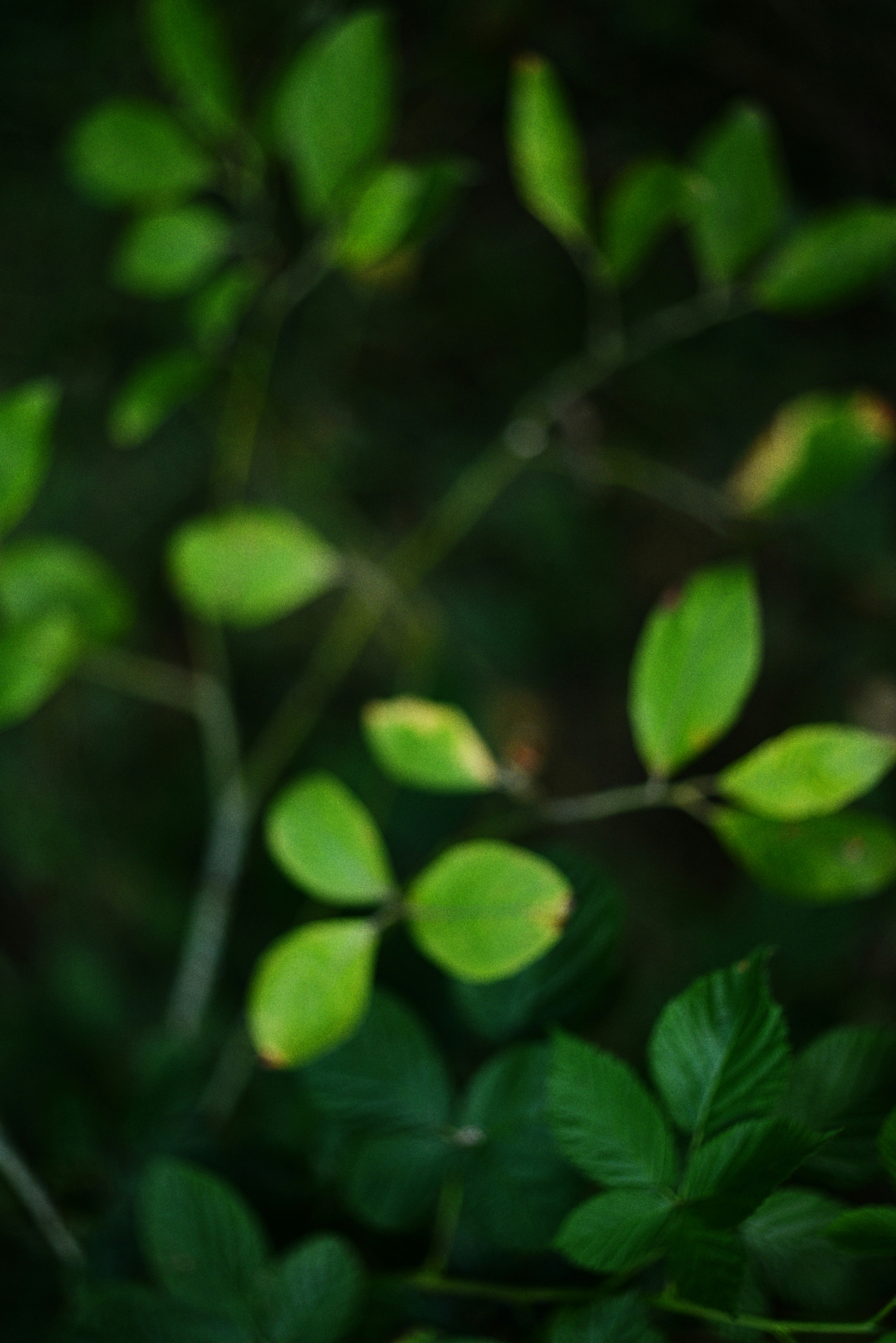 Photo by cherstve_pechivo